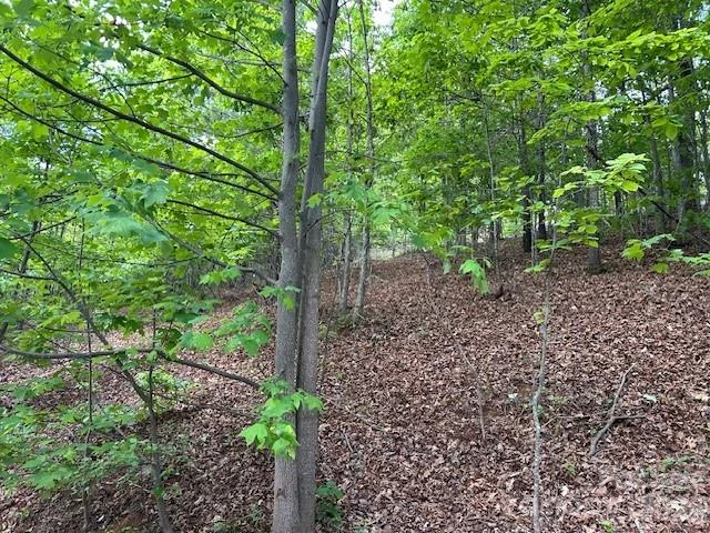 0 Azule Ridge - Photo 10