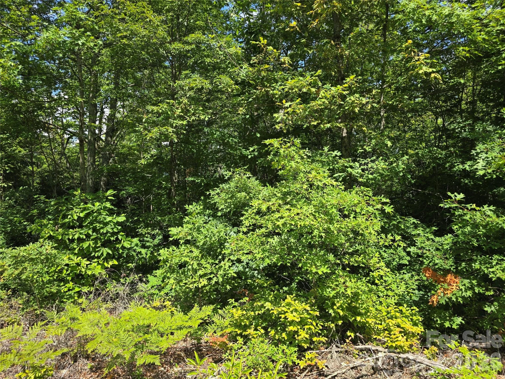 0000 Nancy Mountain Road - Photo 13