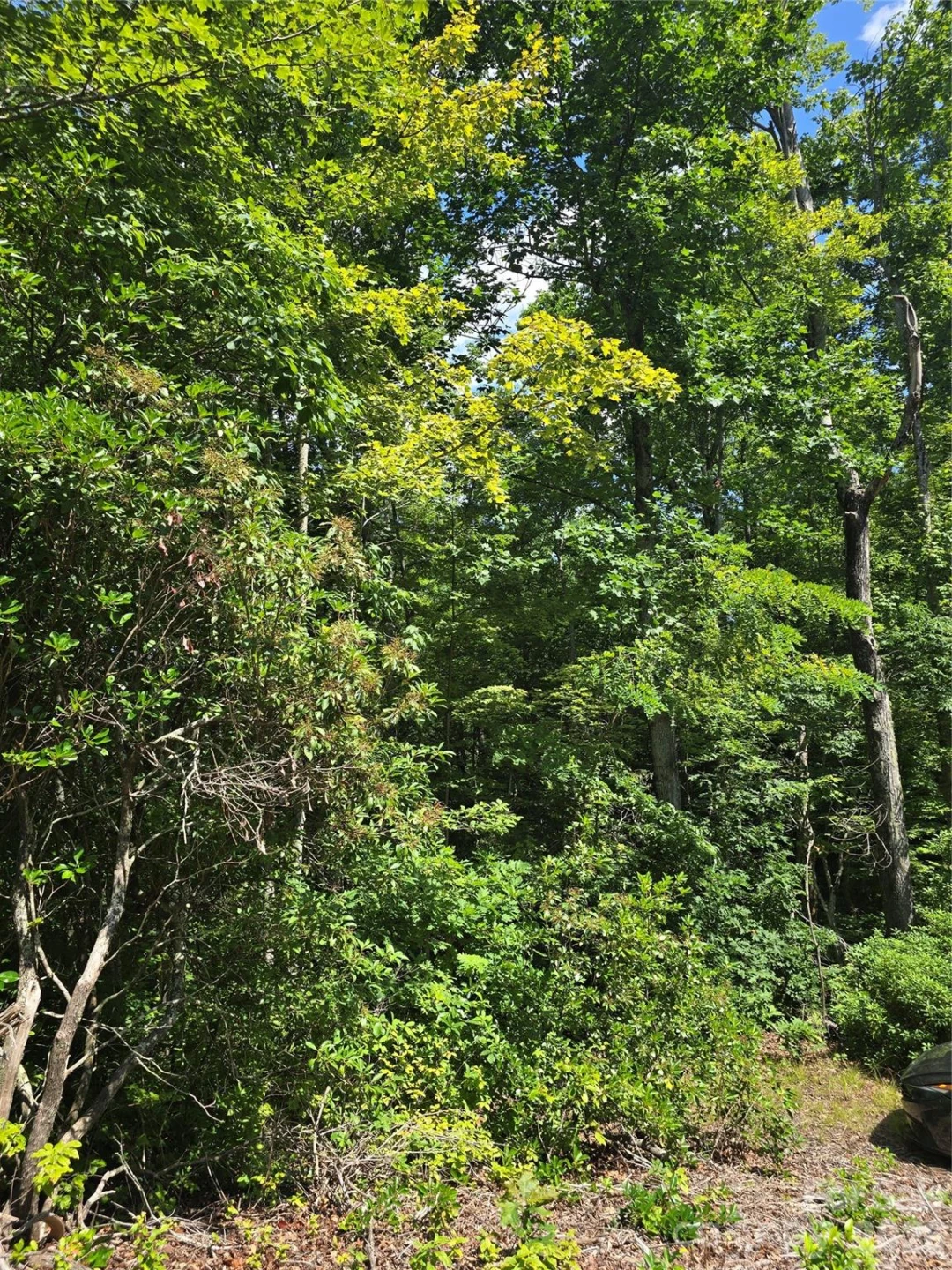 0000 Nancy Mountain Road - Photo 17
