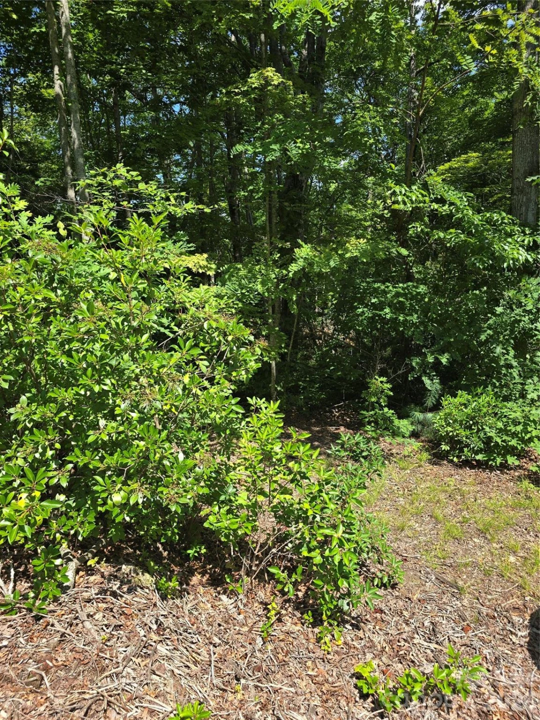 0000 Nancy Mountain Road - Photo 18