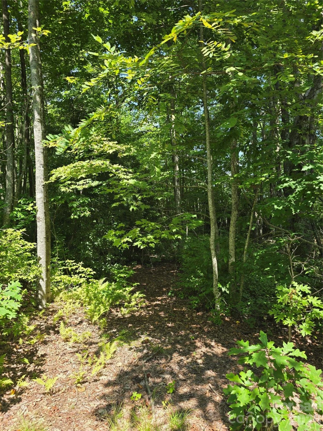 0000 Nancy Mountain Road - Photo 19