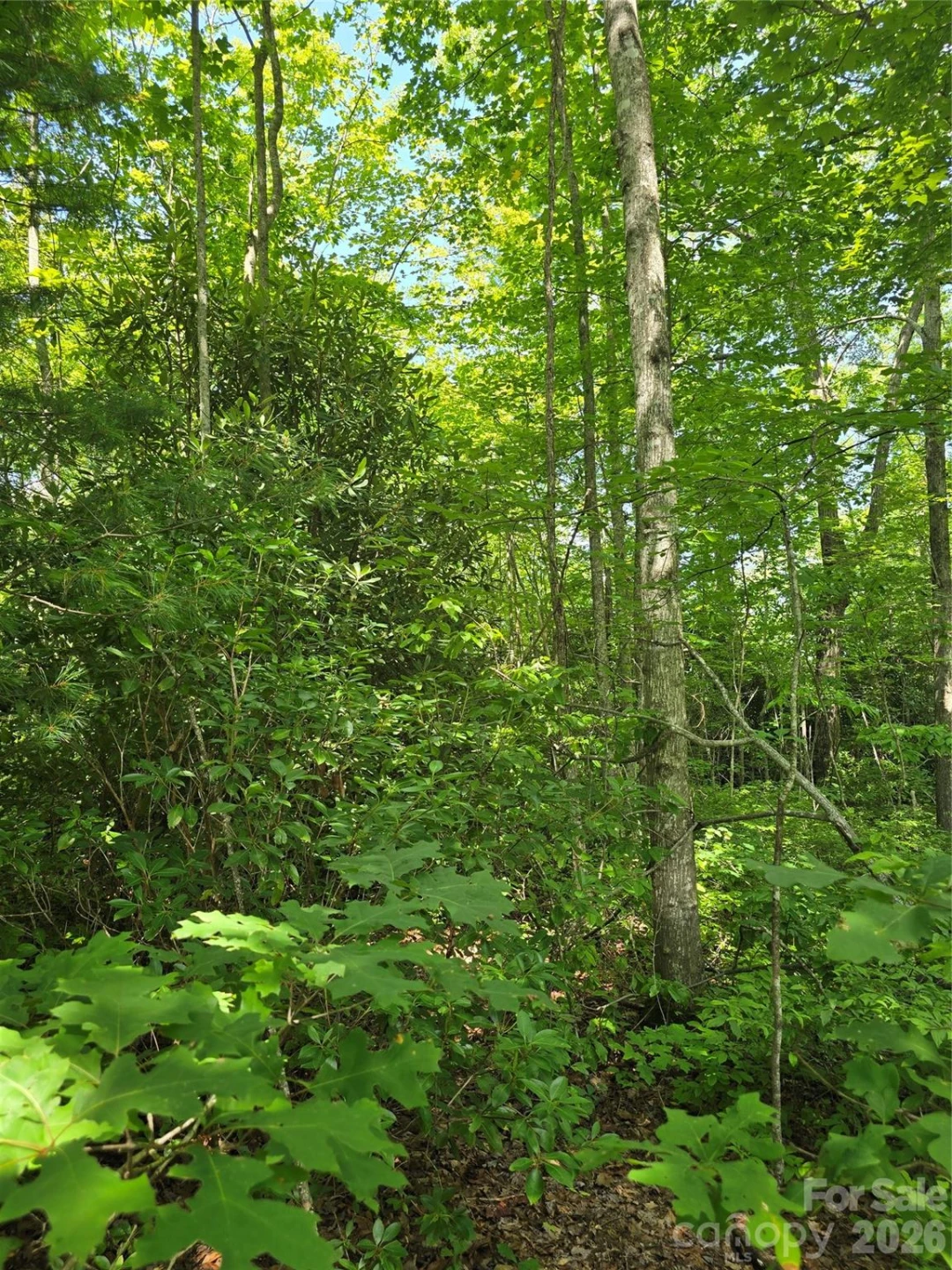 0000 Nancy Mountain Road - Photo 21