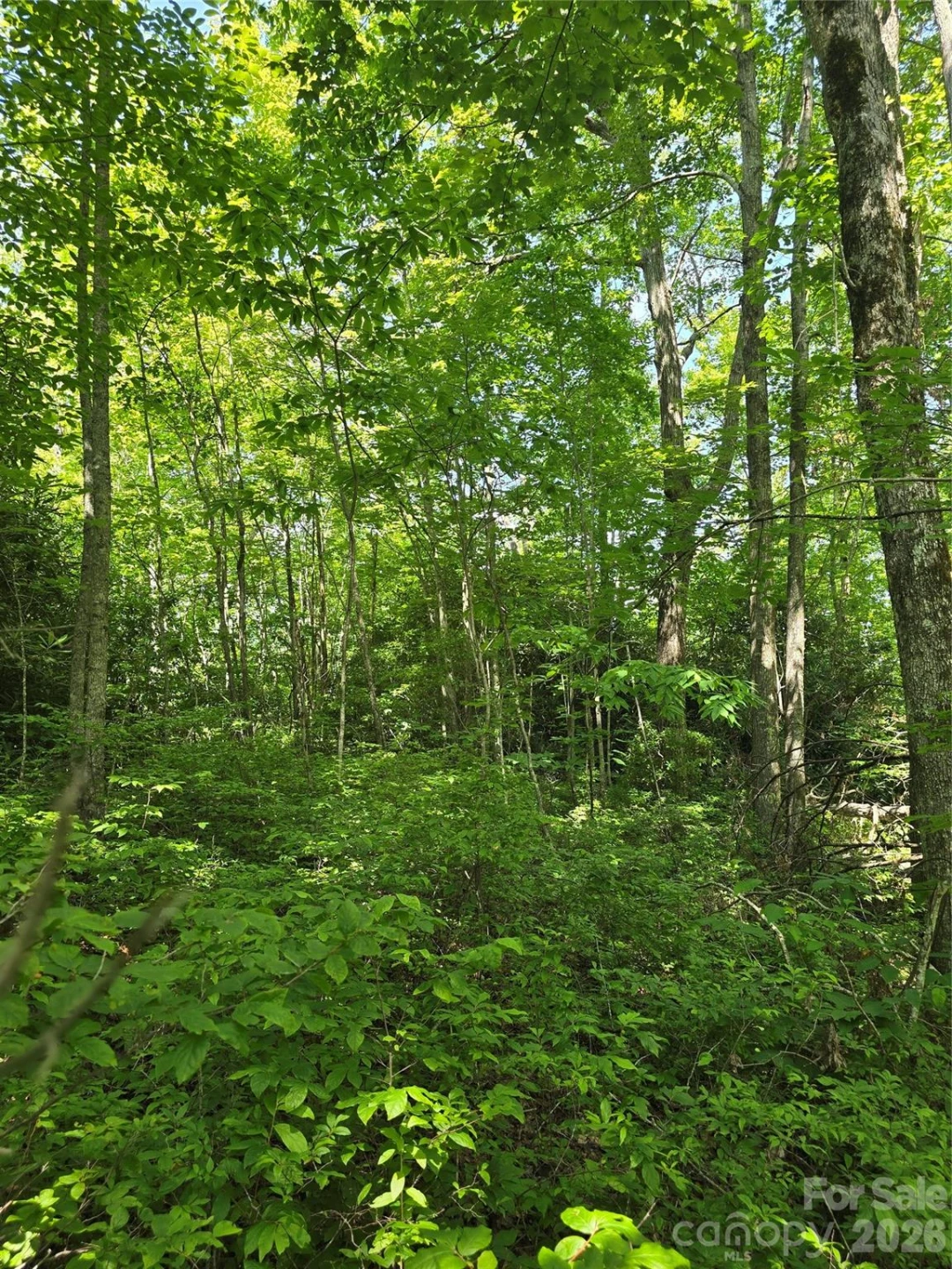 0000 Nancy Mountain Road - Photo 22