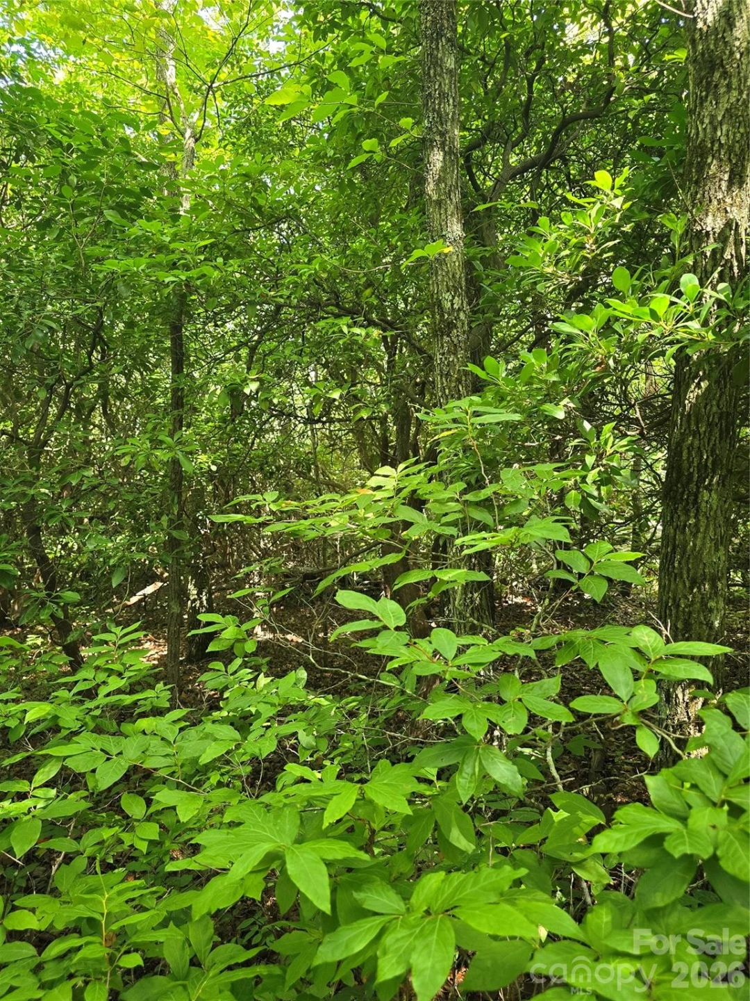 0000 Nancy Mountain Road - Photo 24