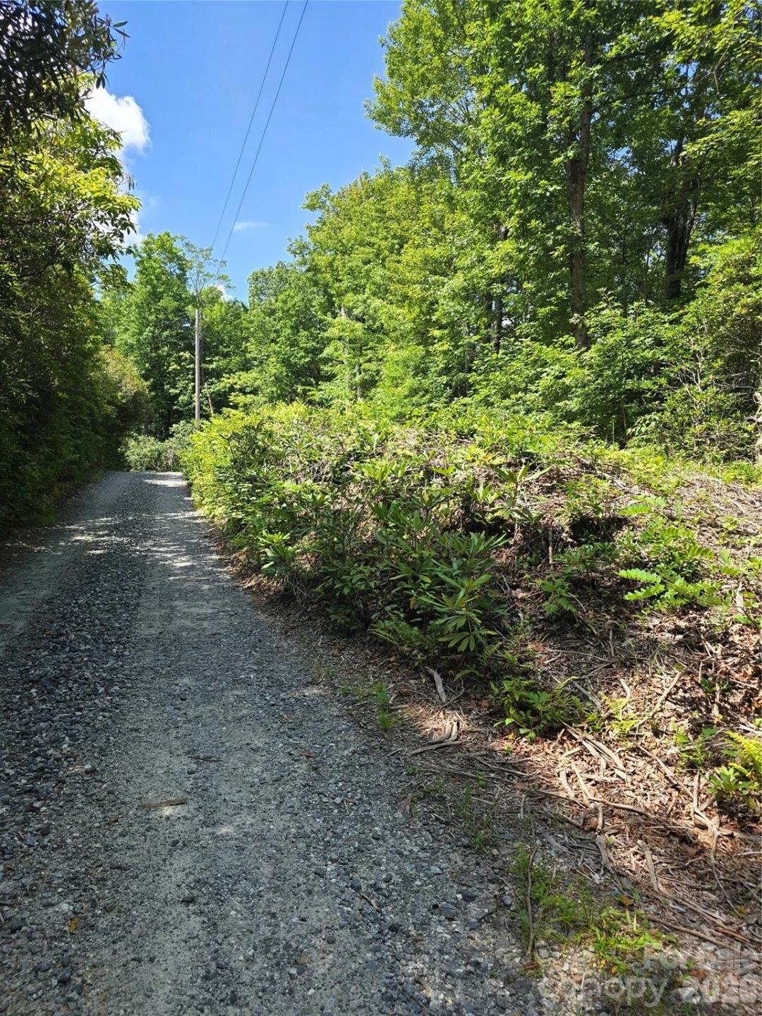 0000 Nancy Mountain Road - Photo 28