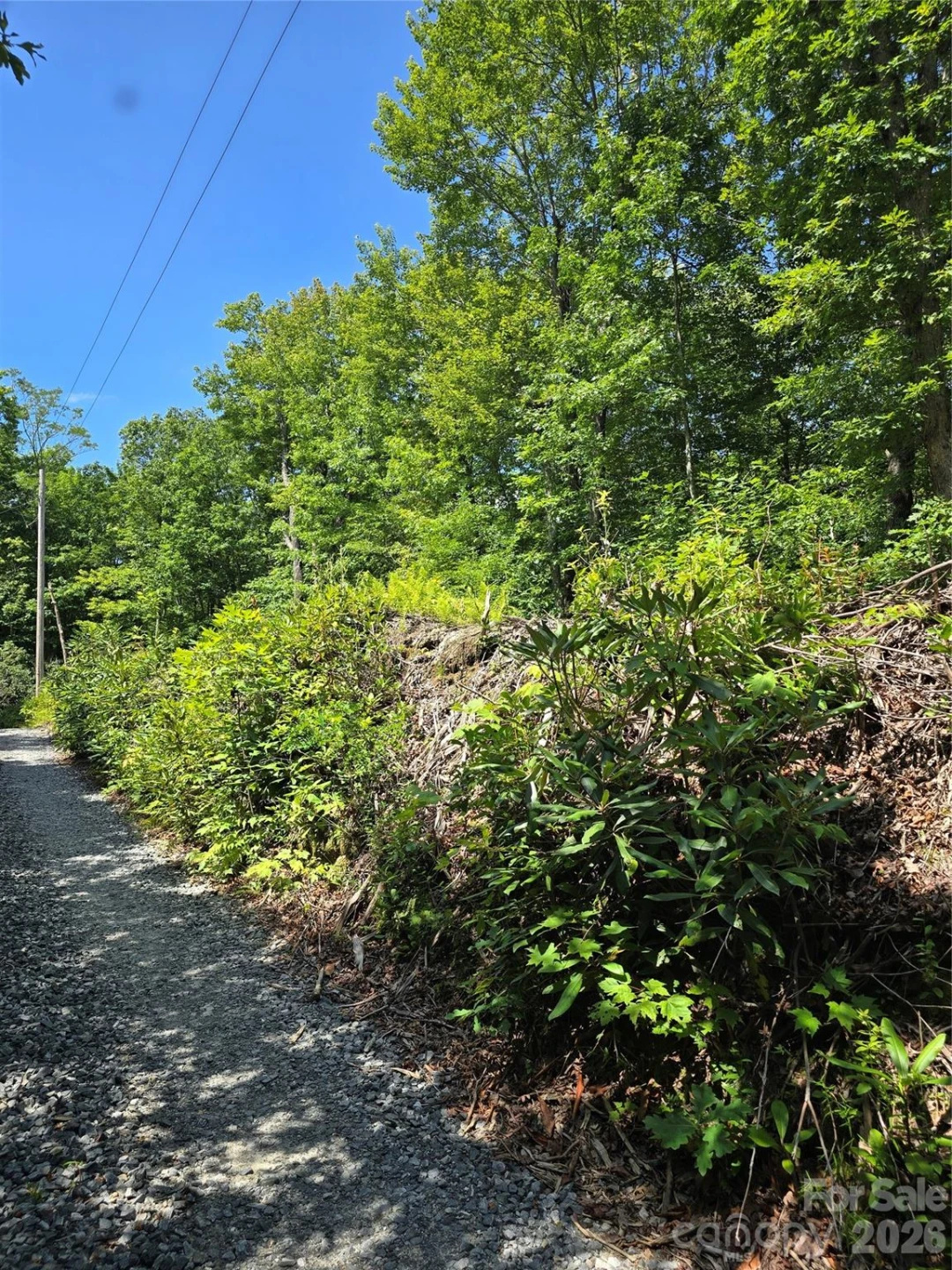 0000 Nancy Mountain Road - Photo 29