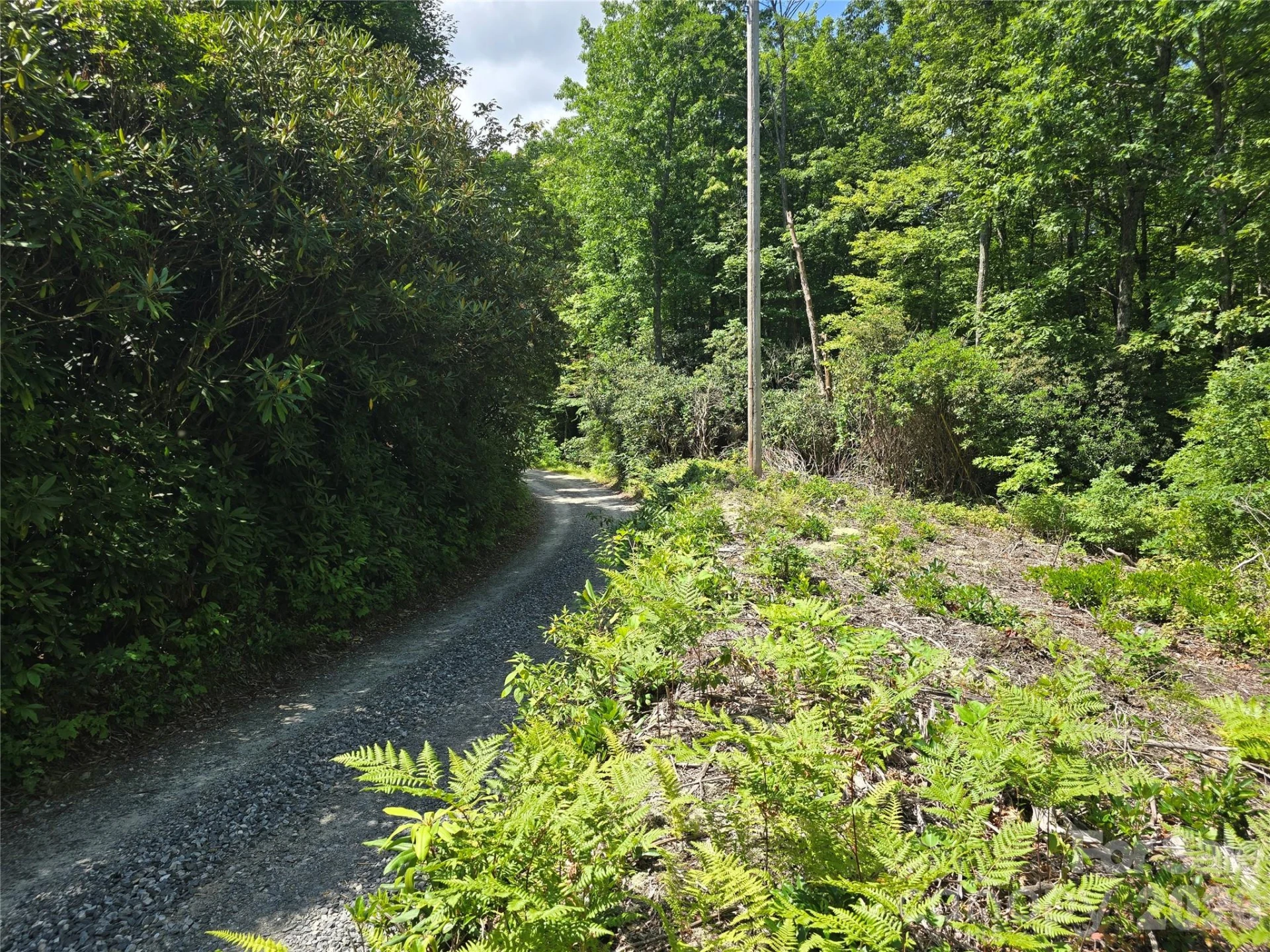 0000 Nancy Mountain Road - Photo 32