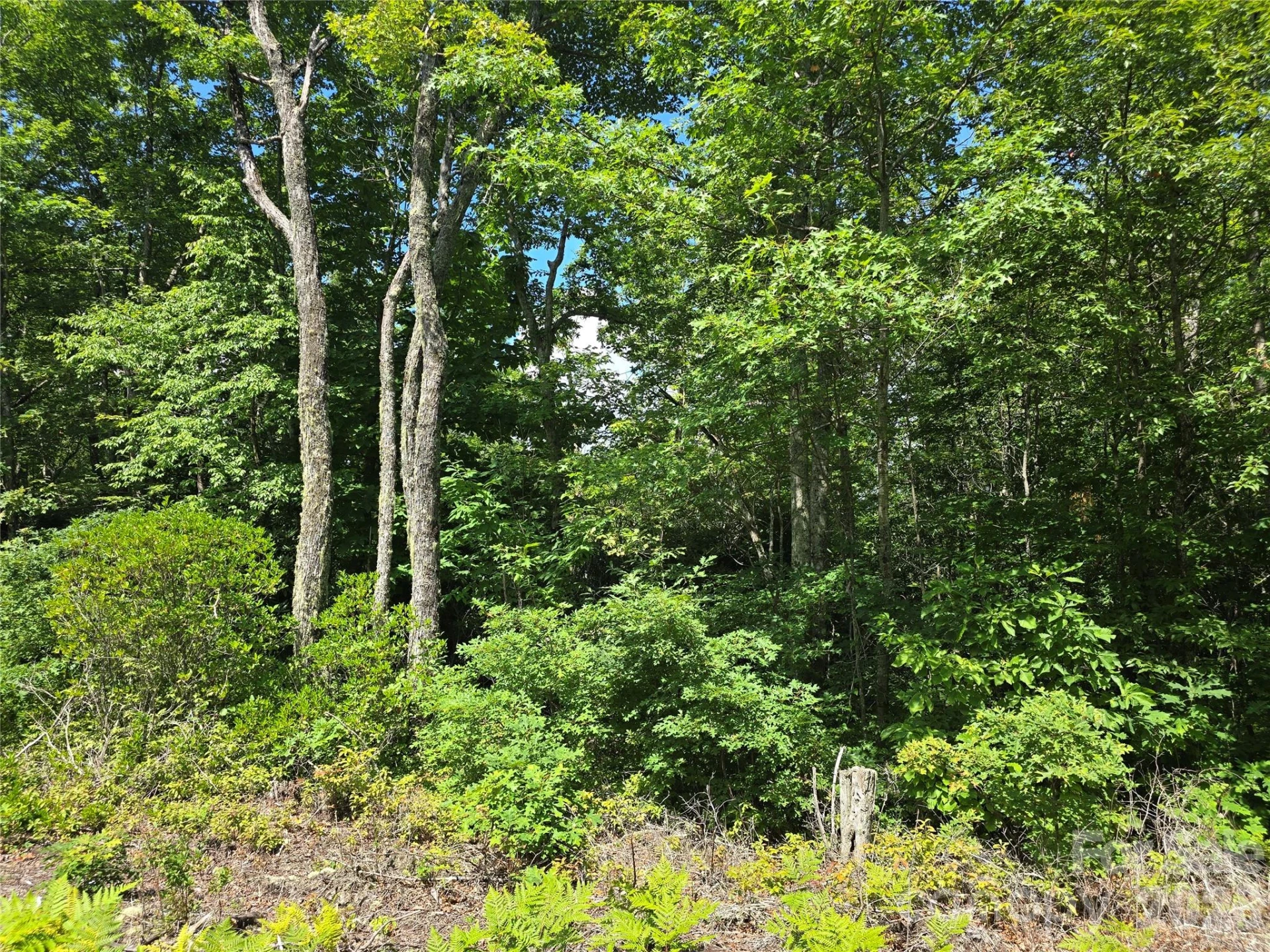 0000 Nancy Mountain Road - Photo 33