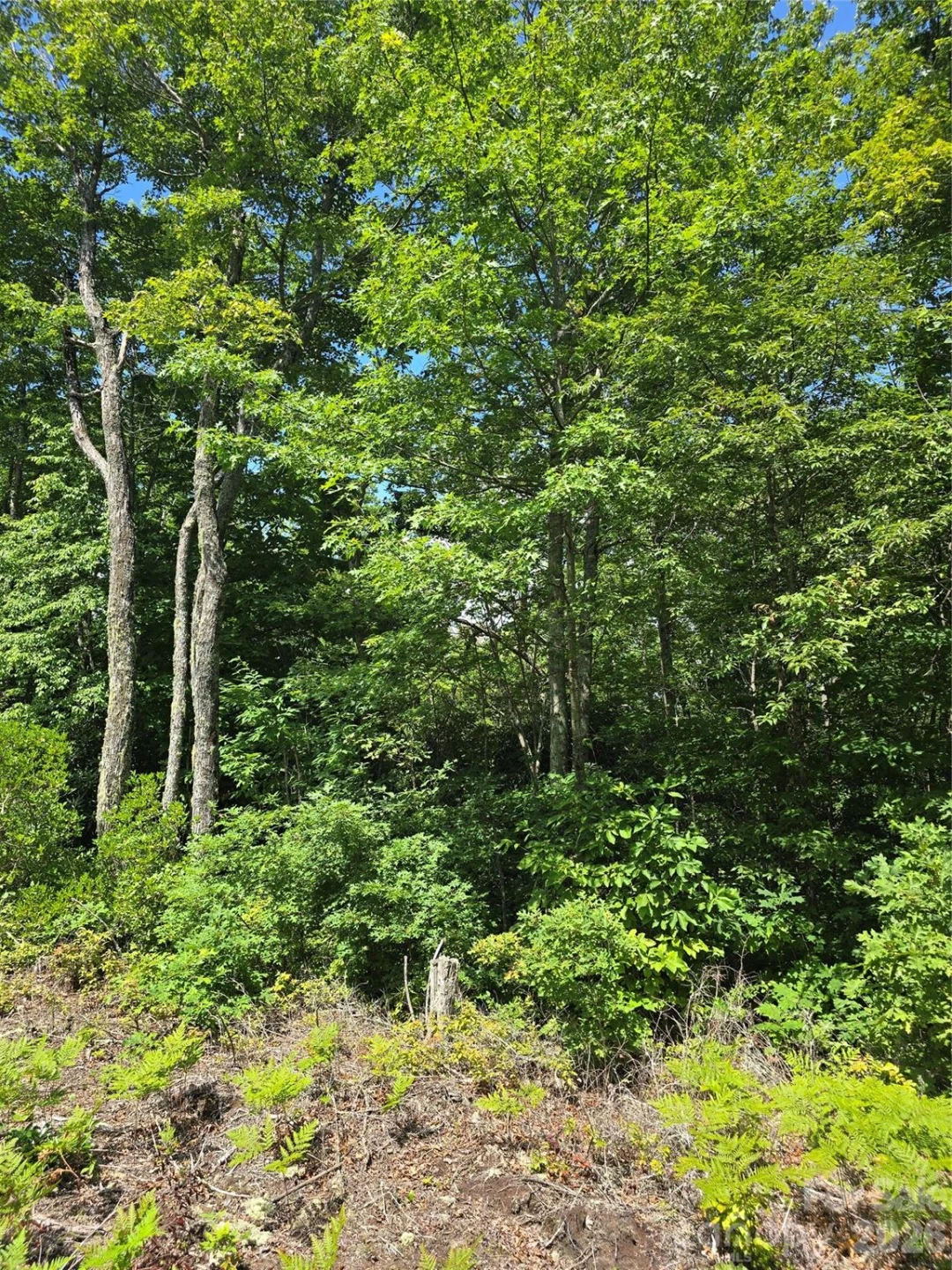 0000 Nancy Mountain Road - Photo 34