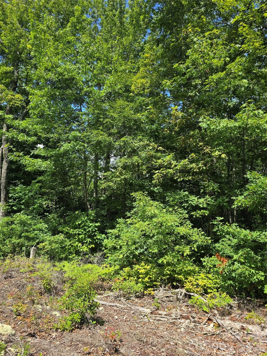 0000 Nancy Mountain Road - Photo 35