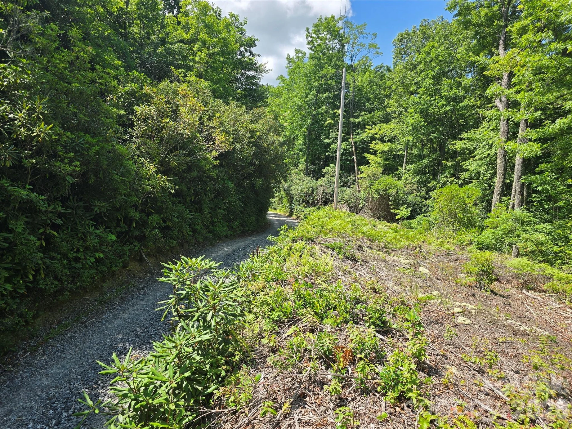 0000 Nancy Mountain Road - Photo 36
