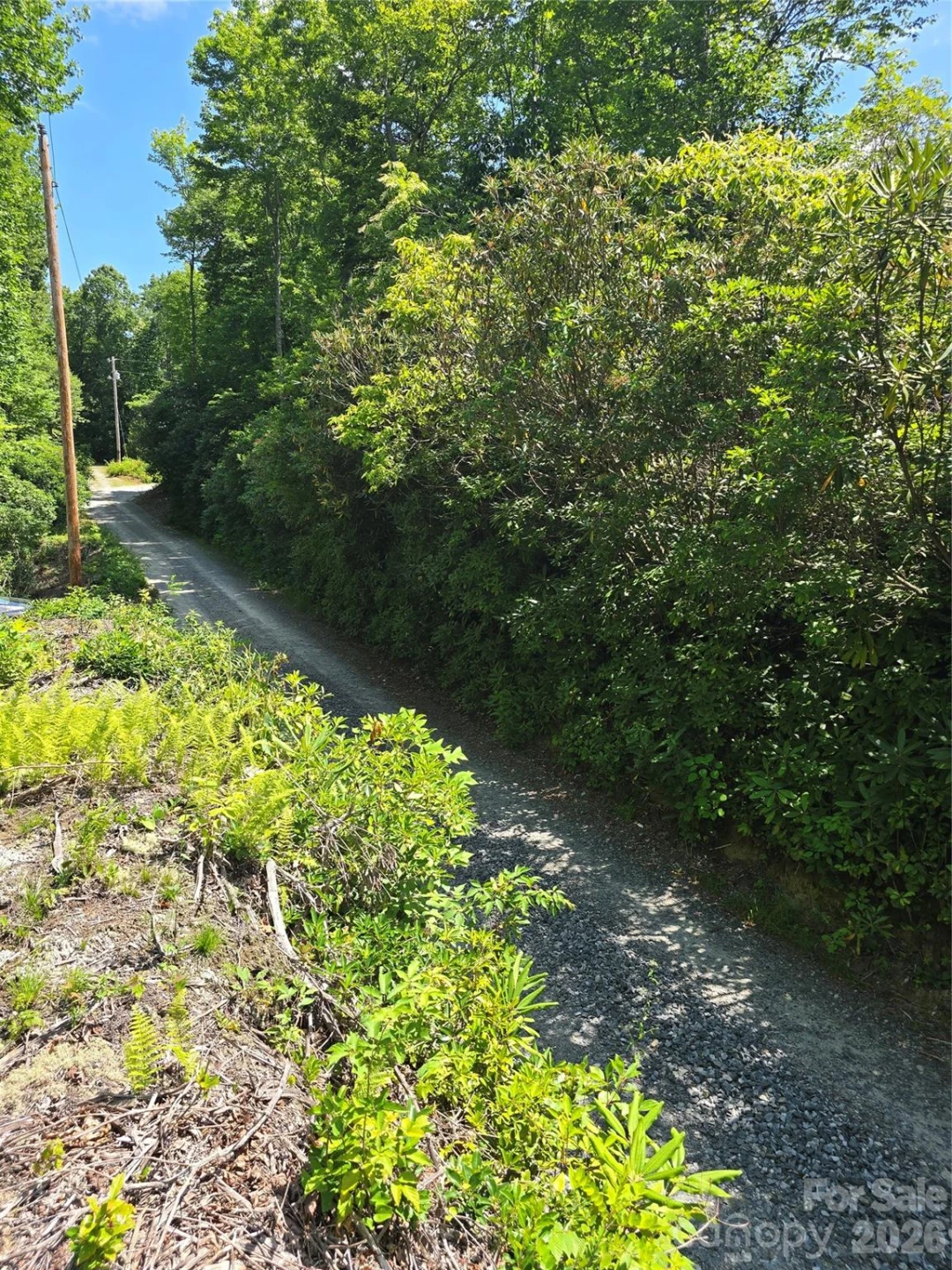 0000 Nancy Mountain Road - Photo 37