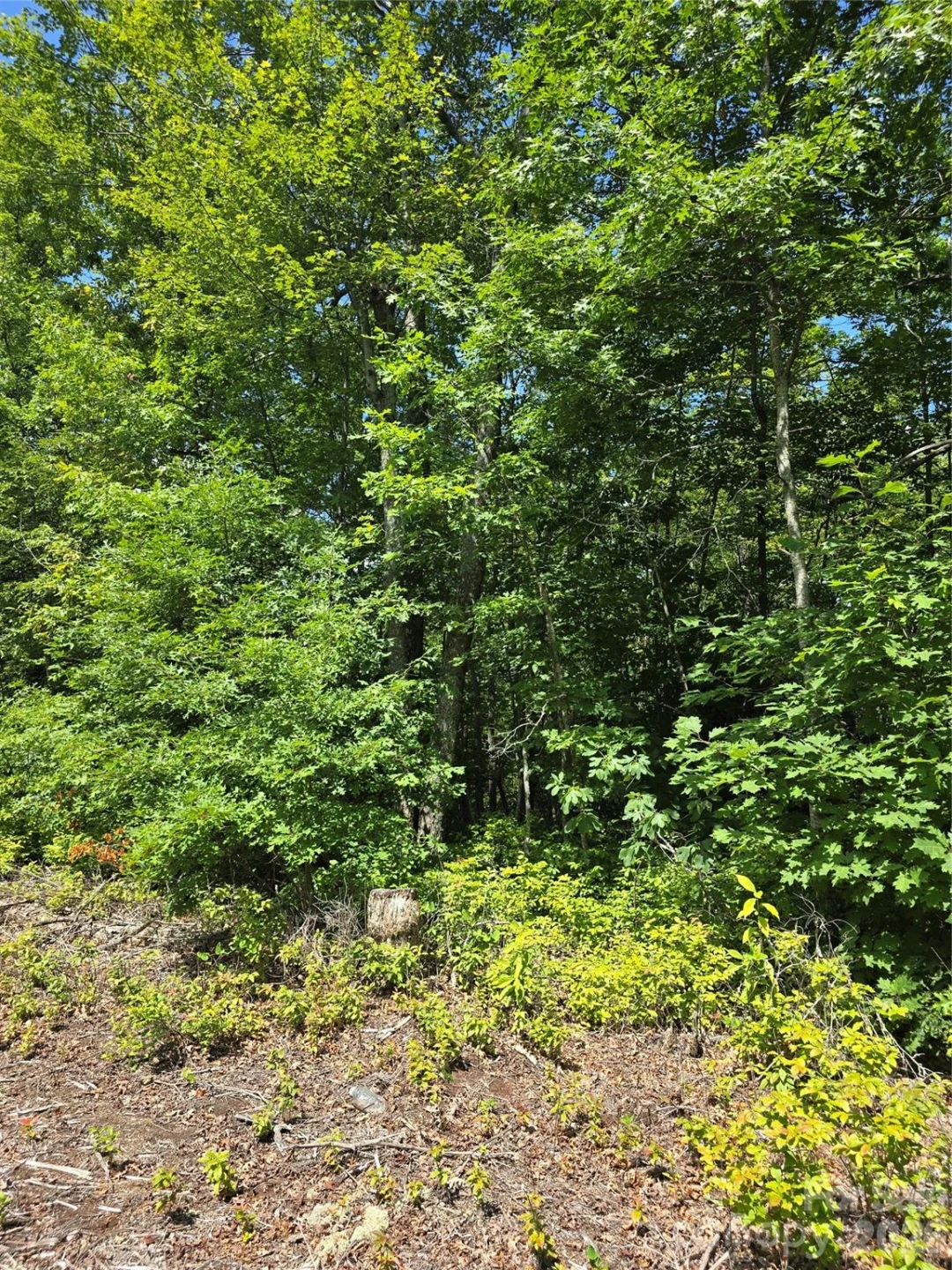 0000 Nancy Mountain Road - Photo 38