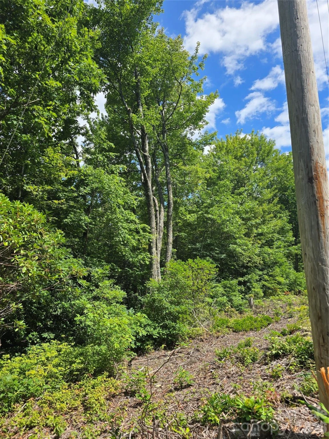 0000 Nancy Mountain Road - Photo 10