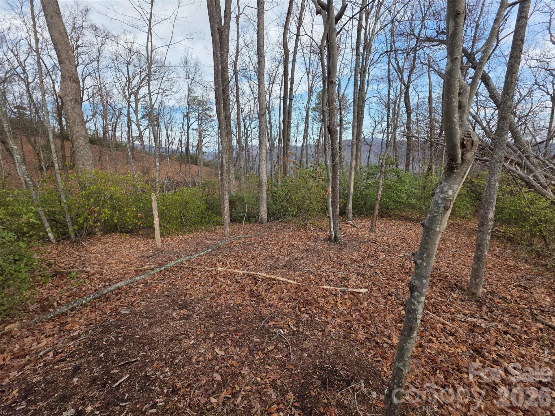 Lot 45 Ridgecrest Drive - Photo 5