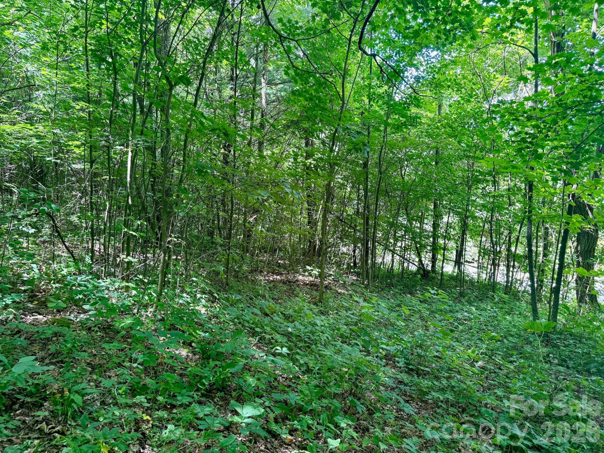 35 Flying Hawk Way - Photo 11