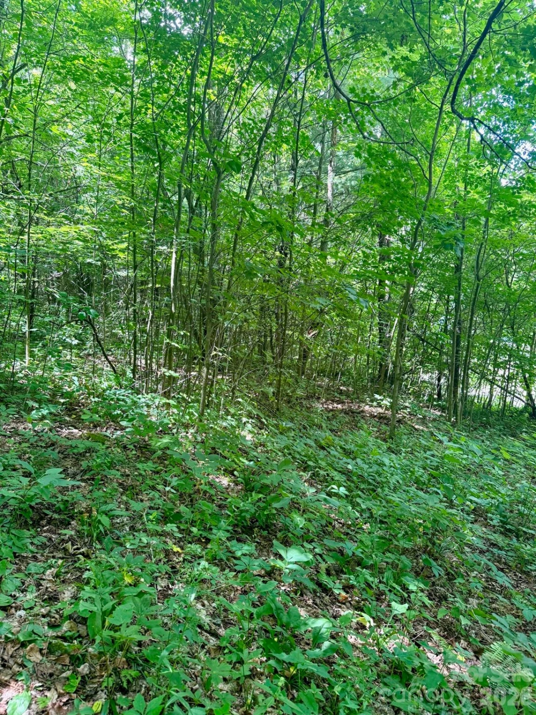 35 Flying Hawk Way - Photo 12