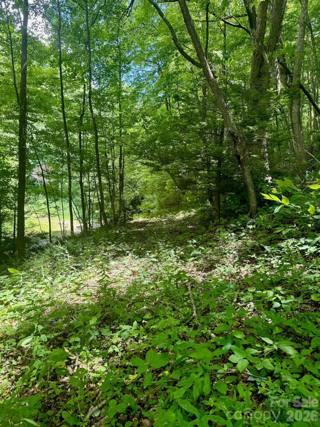 35 Flying Hawk Way - Photo 13