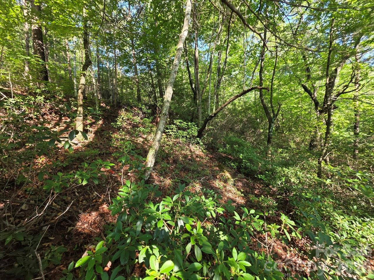 Lot 73 Fawn Lane - Photo 8