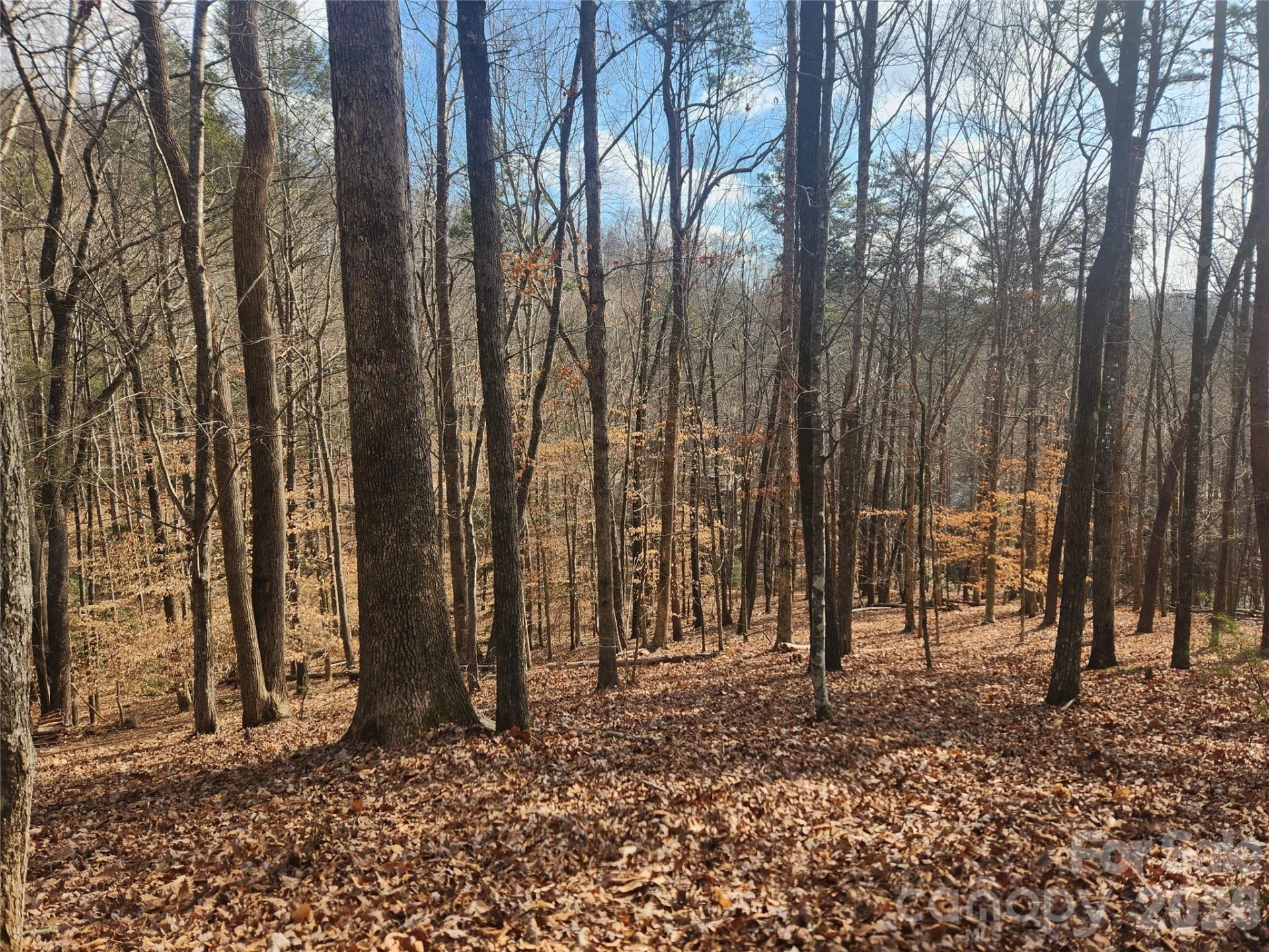 Lot 83 Walnut Lane
