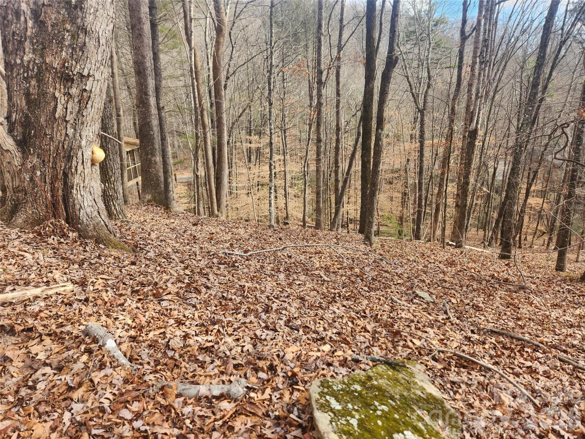 Lot 83 Walnut Lane - Photo 2