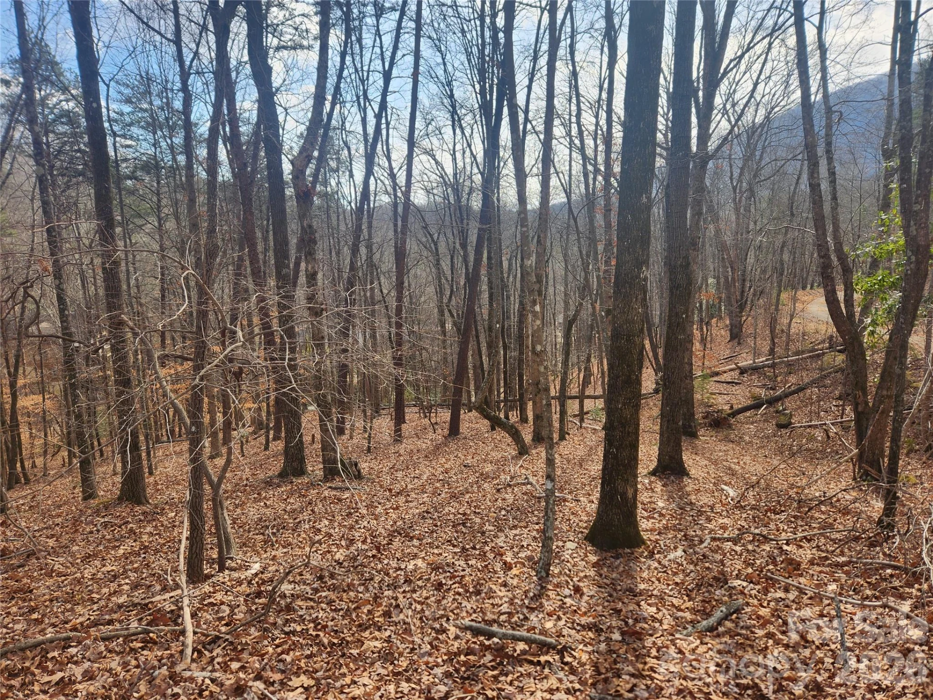 Lot 83 Walnut Lane - Photo 3