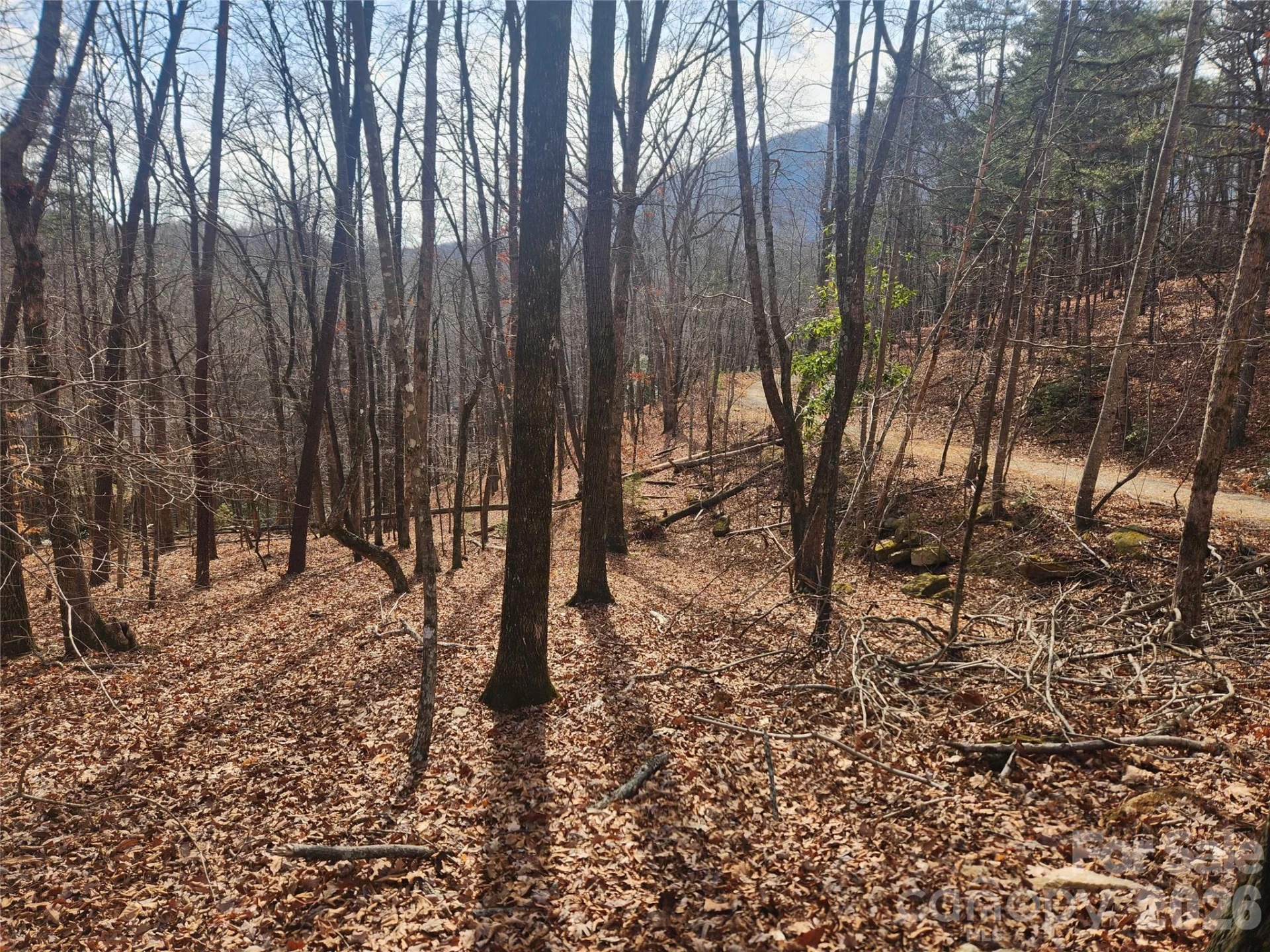 Lot 83 Walnut Lane - Photo 6