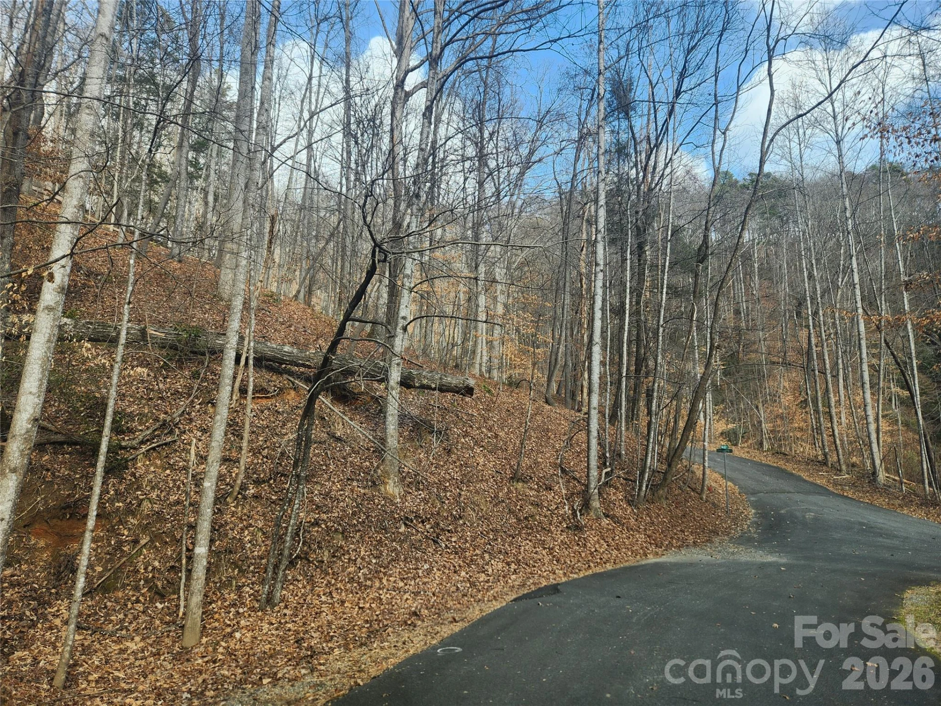 Lot 83 Walnut Lane - Photo 7