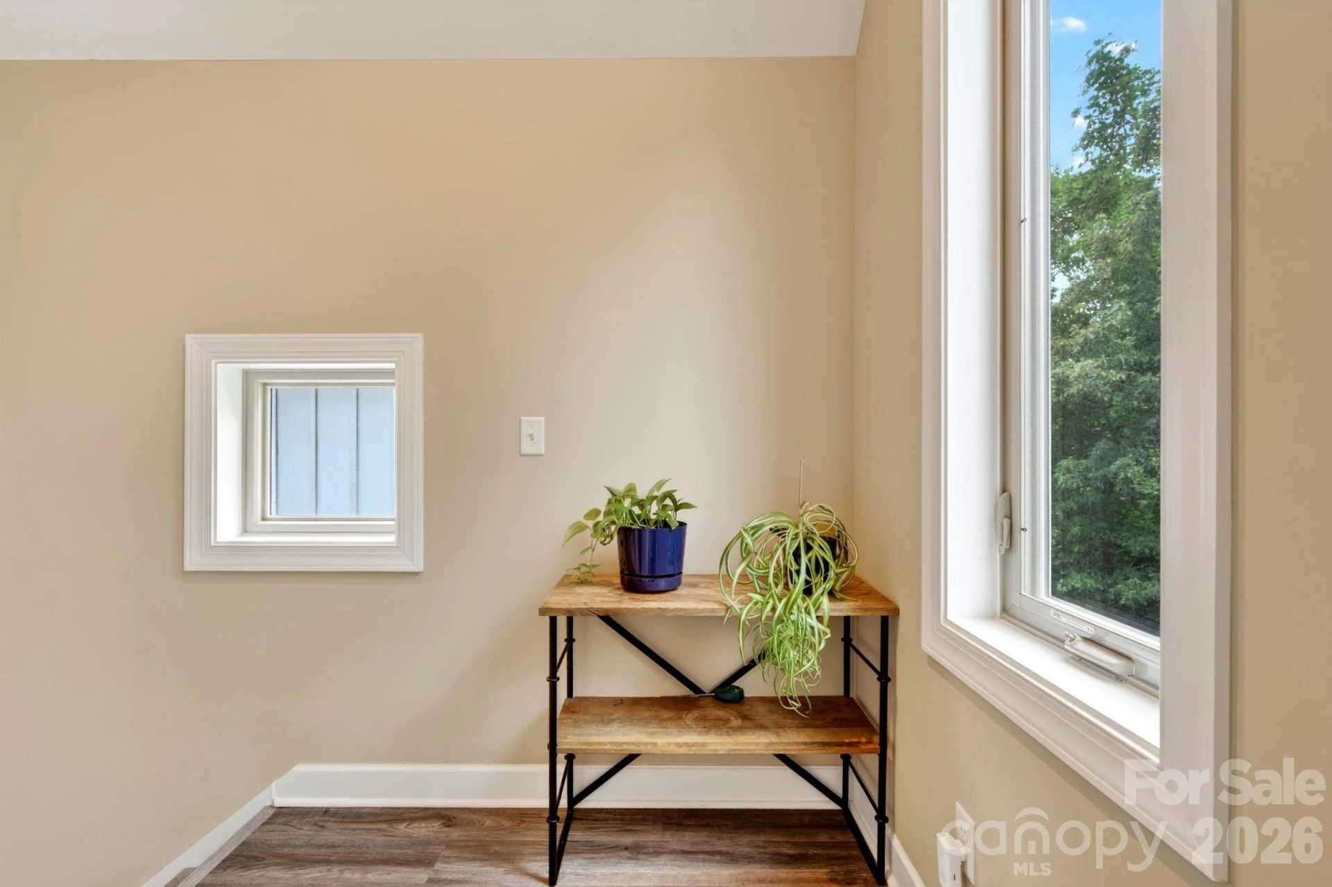 66 Burton Street - Photo 14