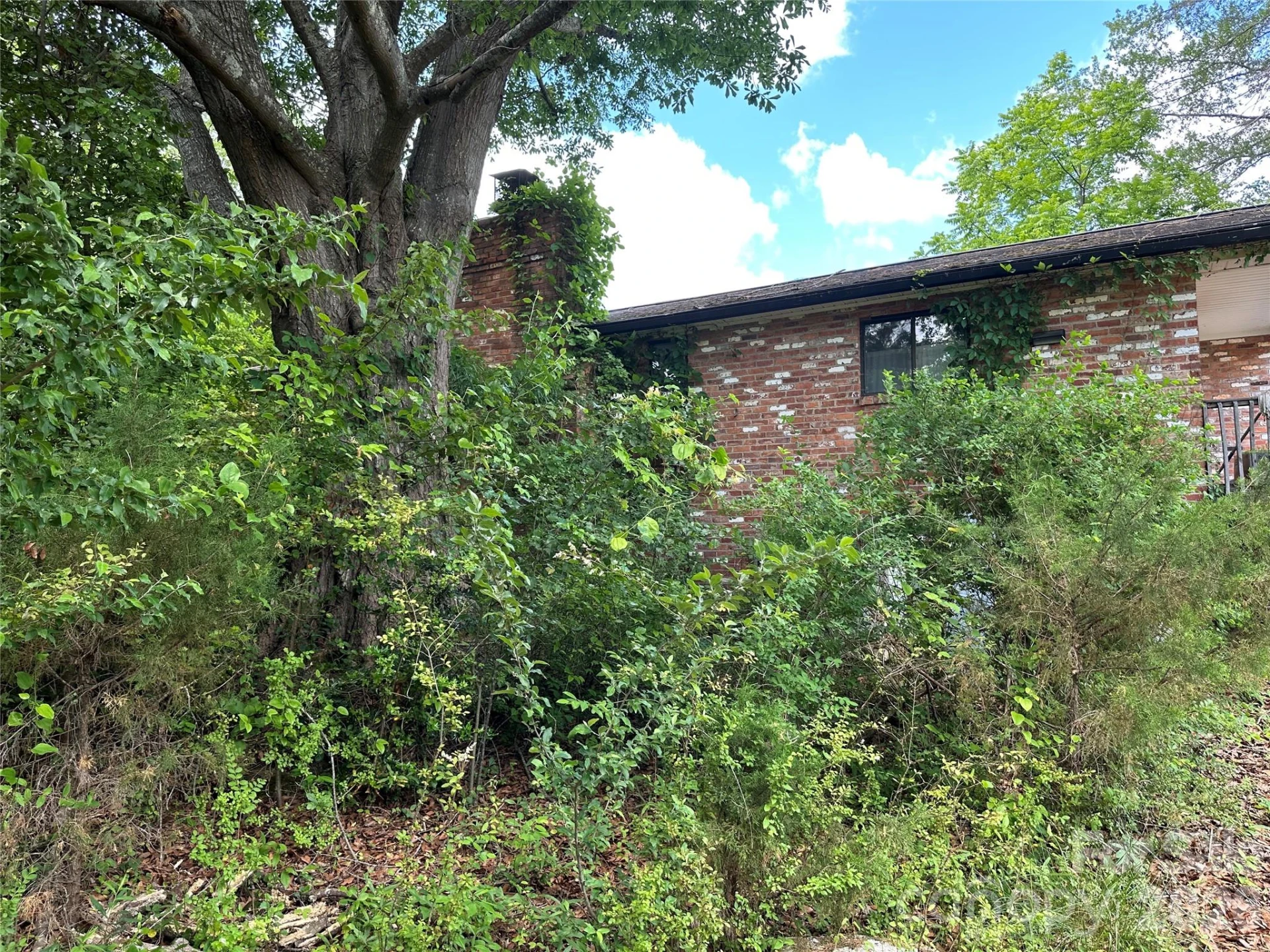 572 Ledbetter Road - Photo 16