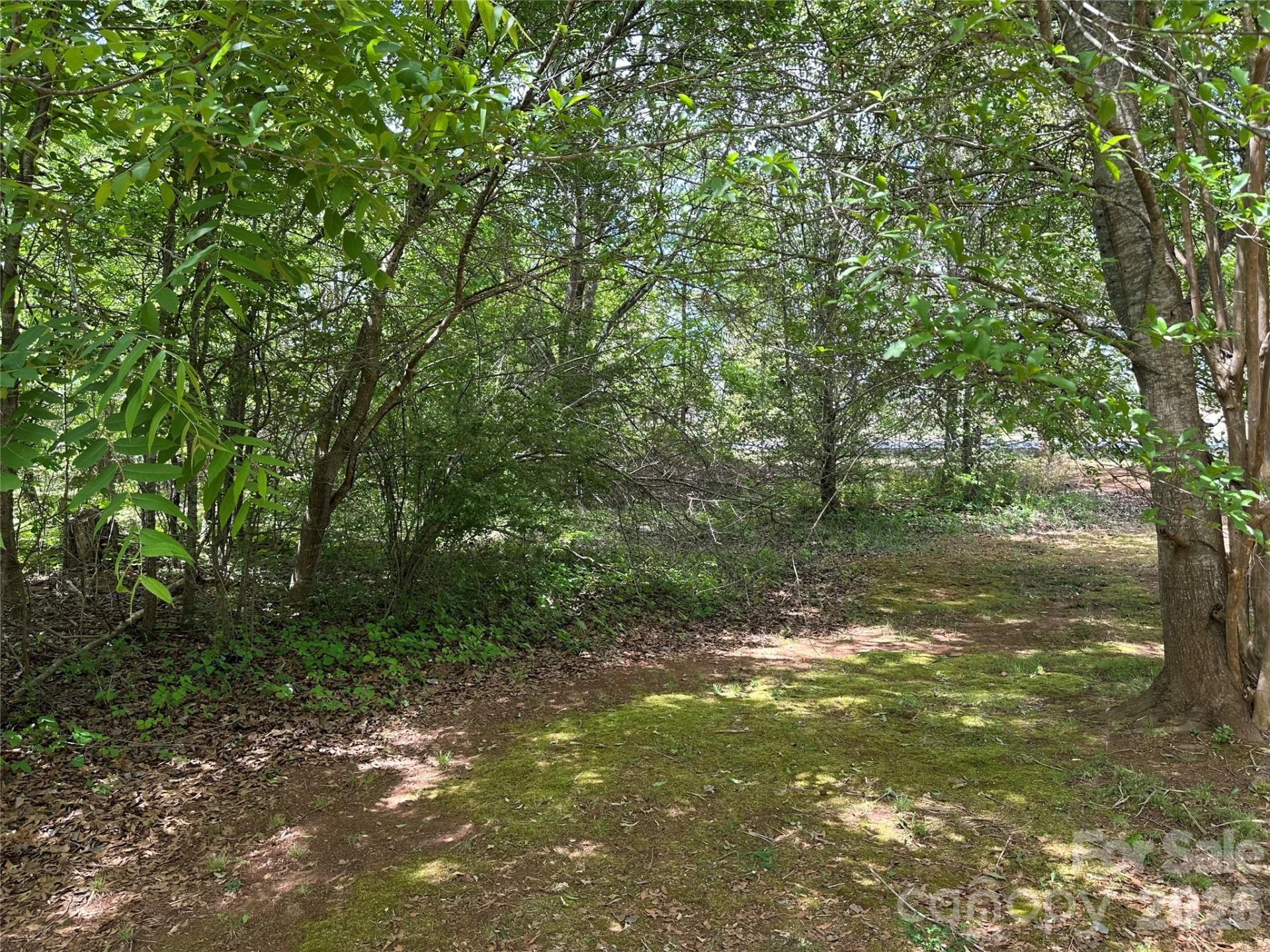 572 Ledbetter Road - Photo 19