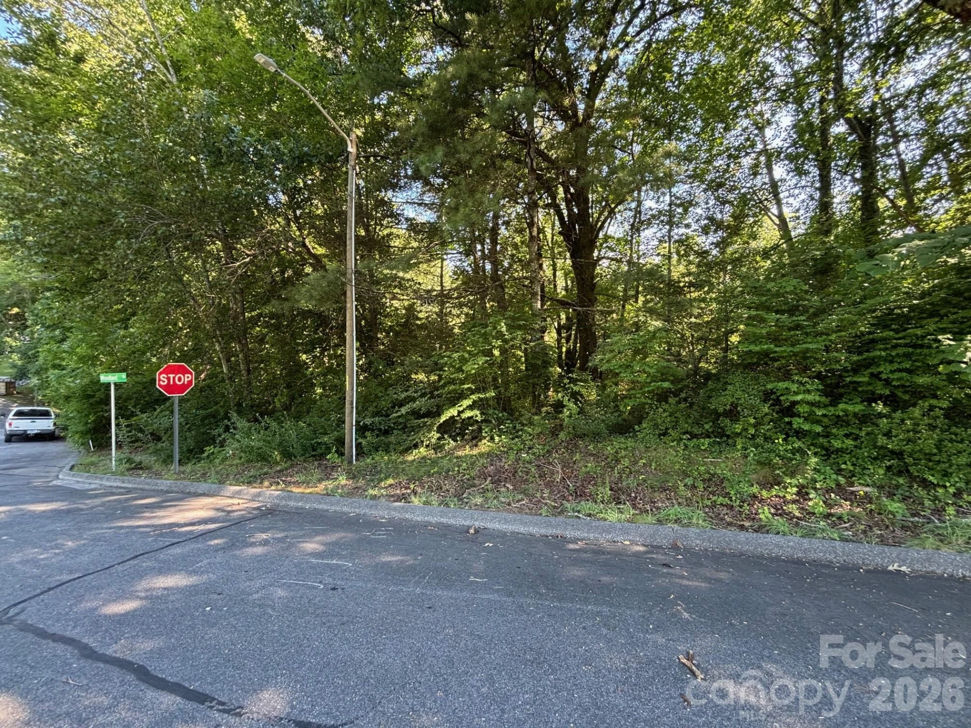 V/L Woodland Drive #11 - Photo 2