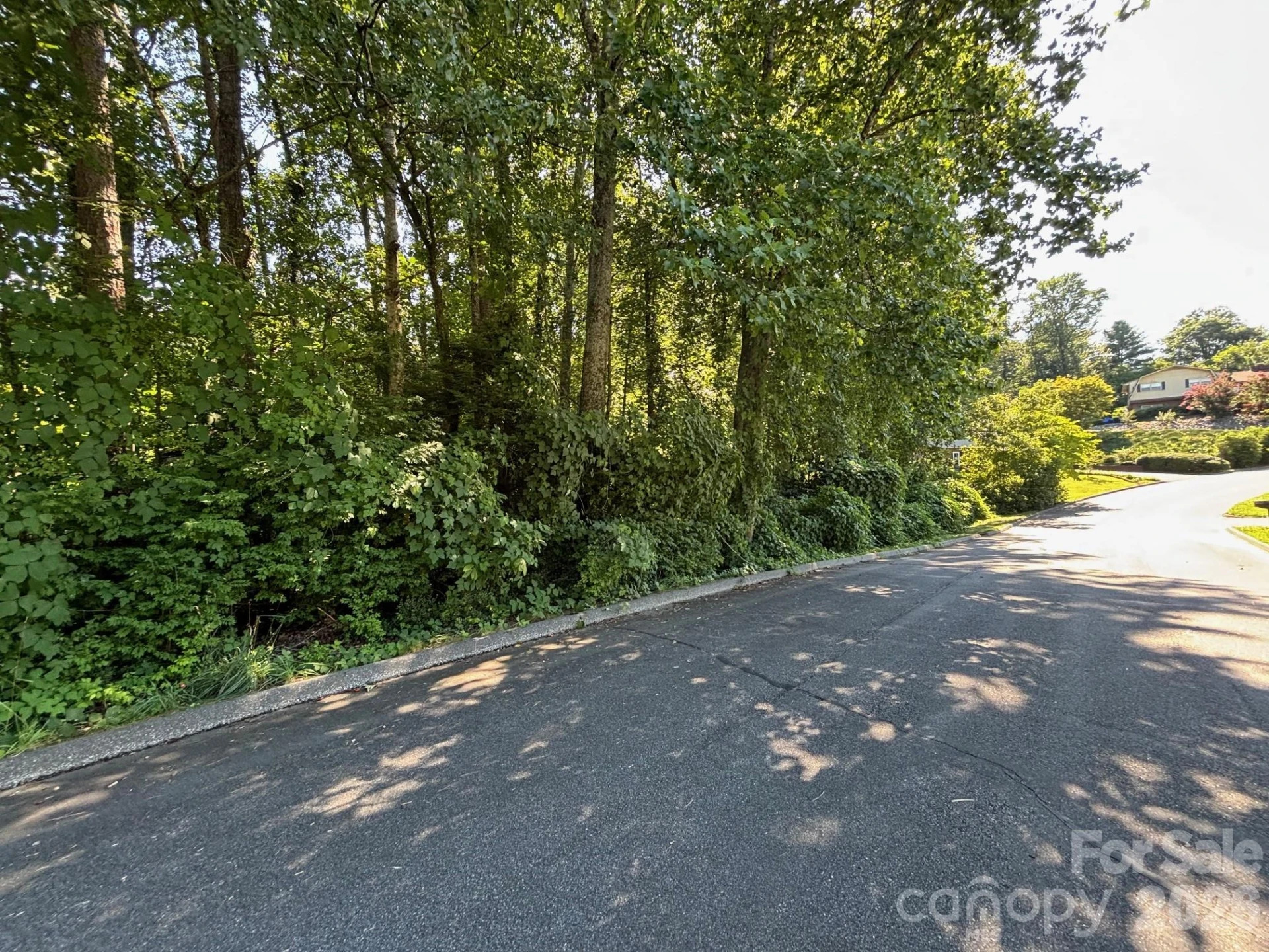 V/L Woodland Drive #11 - Photo 3