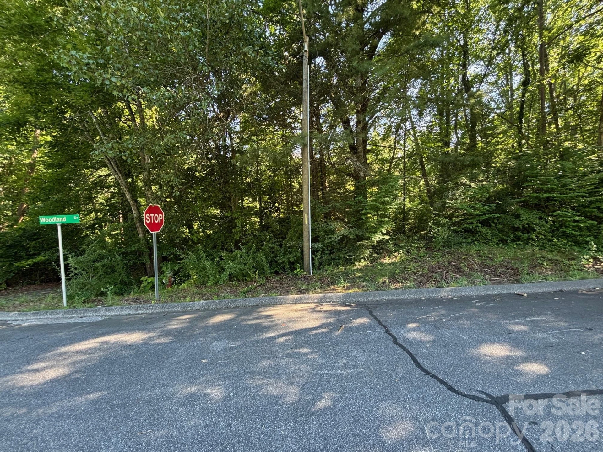 V/L Woodland Drive #11 - Photo 6