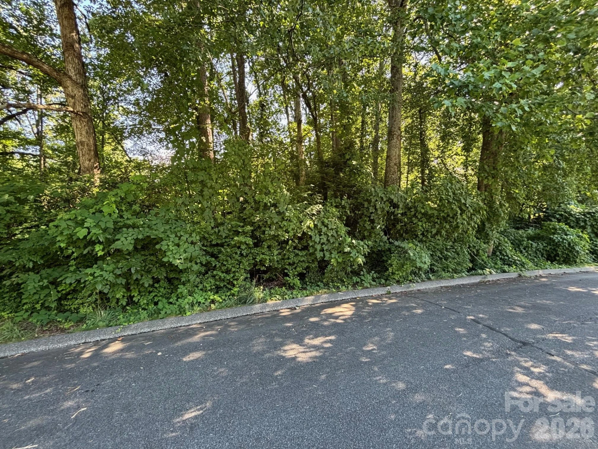 V/L Woodland Drive #10 - Photo 3