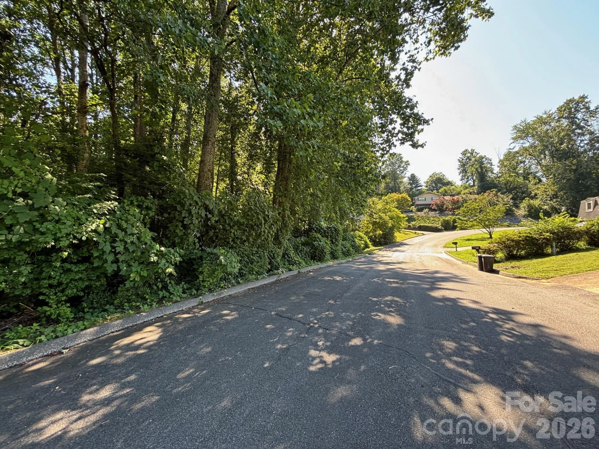 V/L Woodland Drive #10 - Photo 4