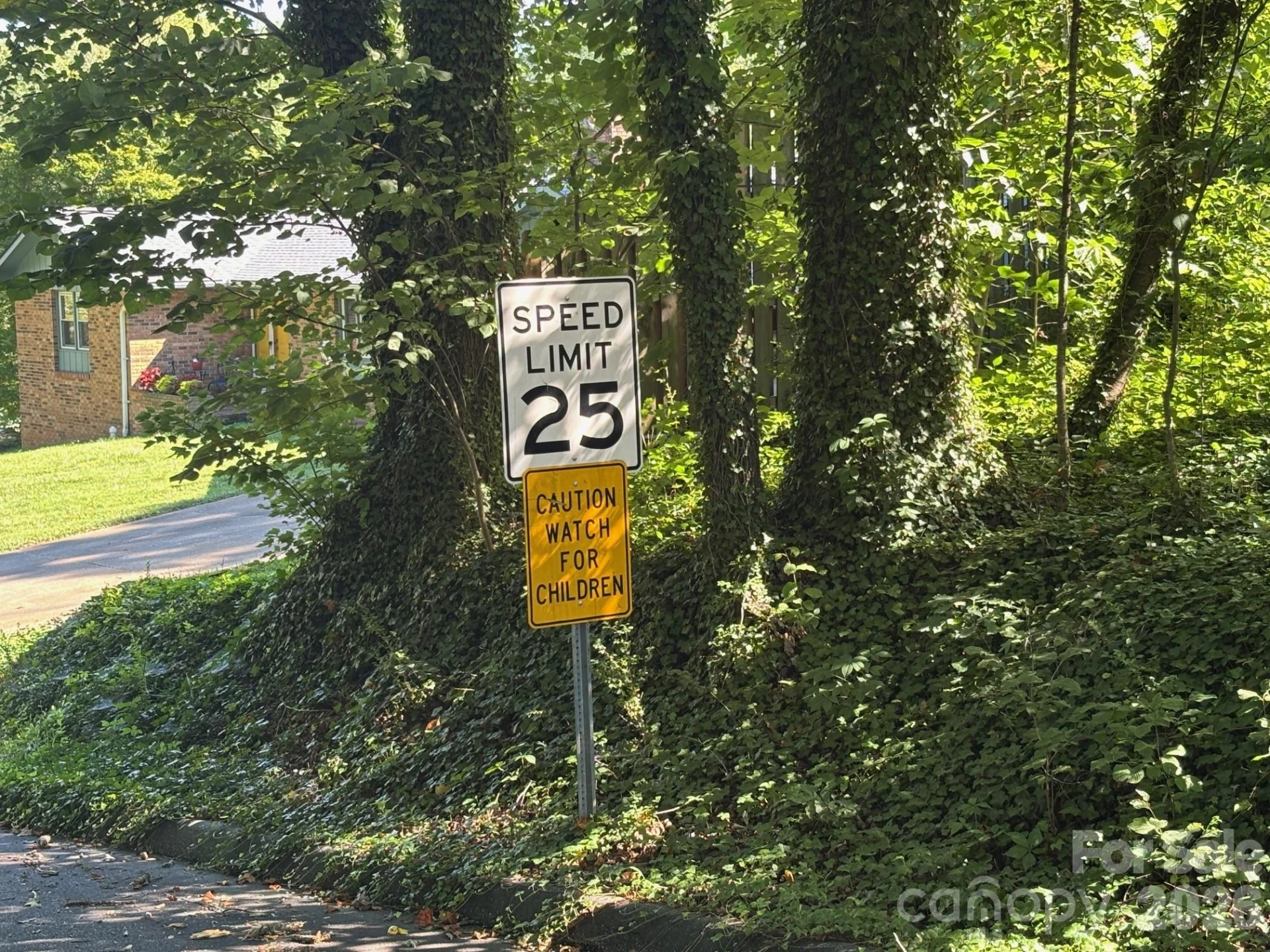 V/L Woodland Drive #10 - Photo 5
