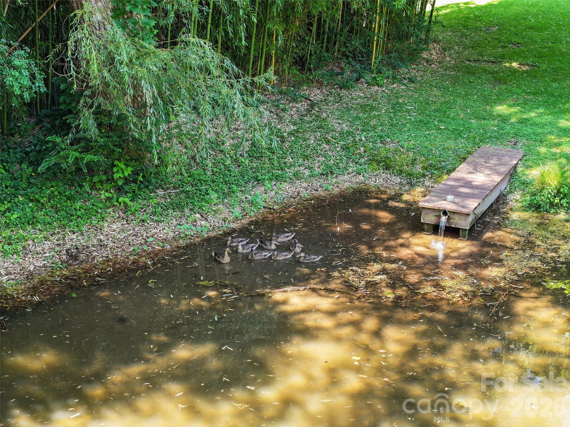 36 Meadows Lane - Photo 17