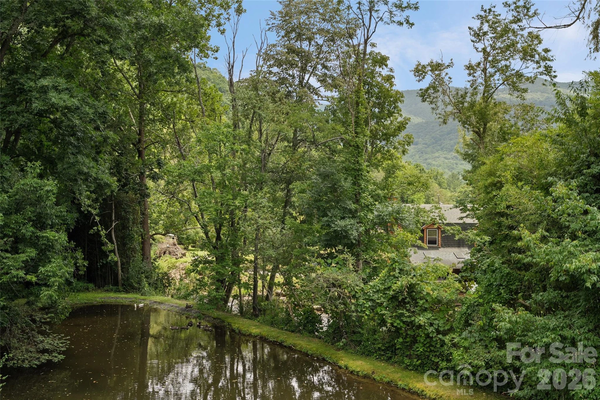 36 Meadows Lane - Photo 29