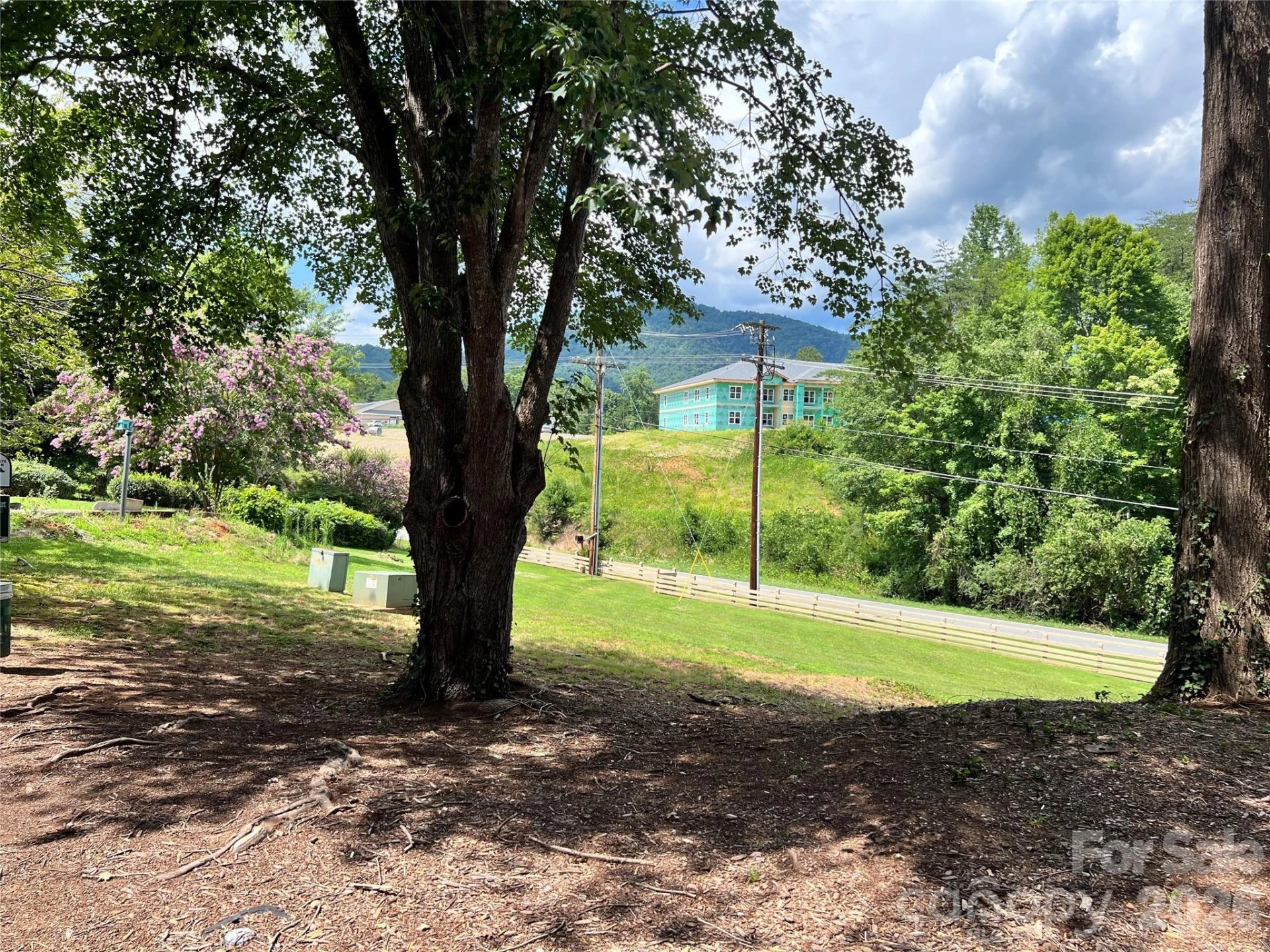 160 Whitney Boulevard #35 - Photo 5