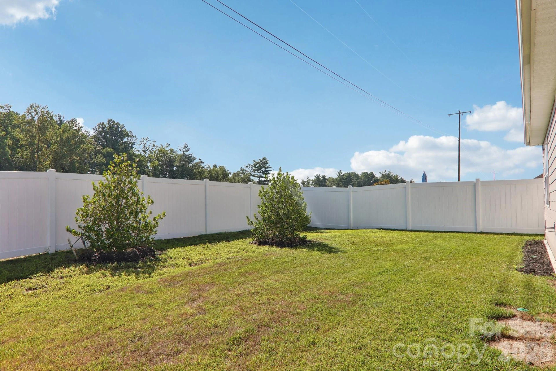 505 Fox Cove Road - Photo 6