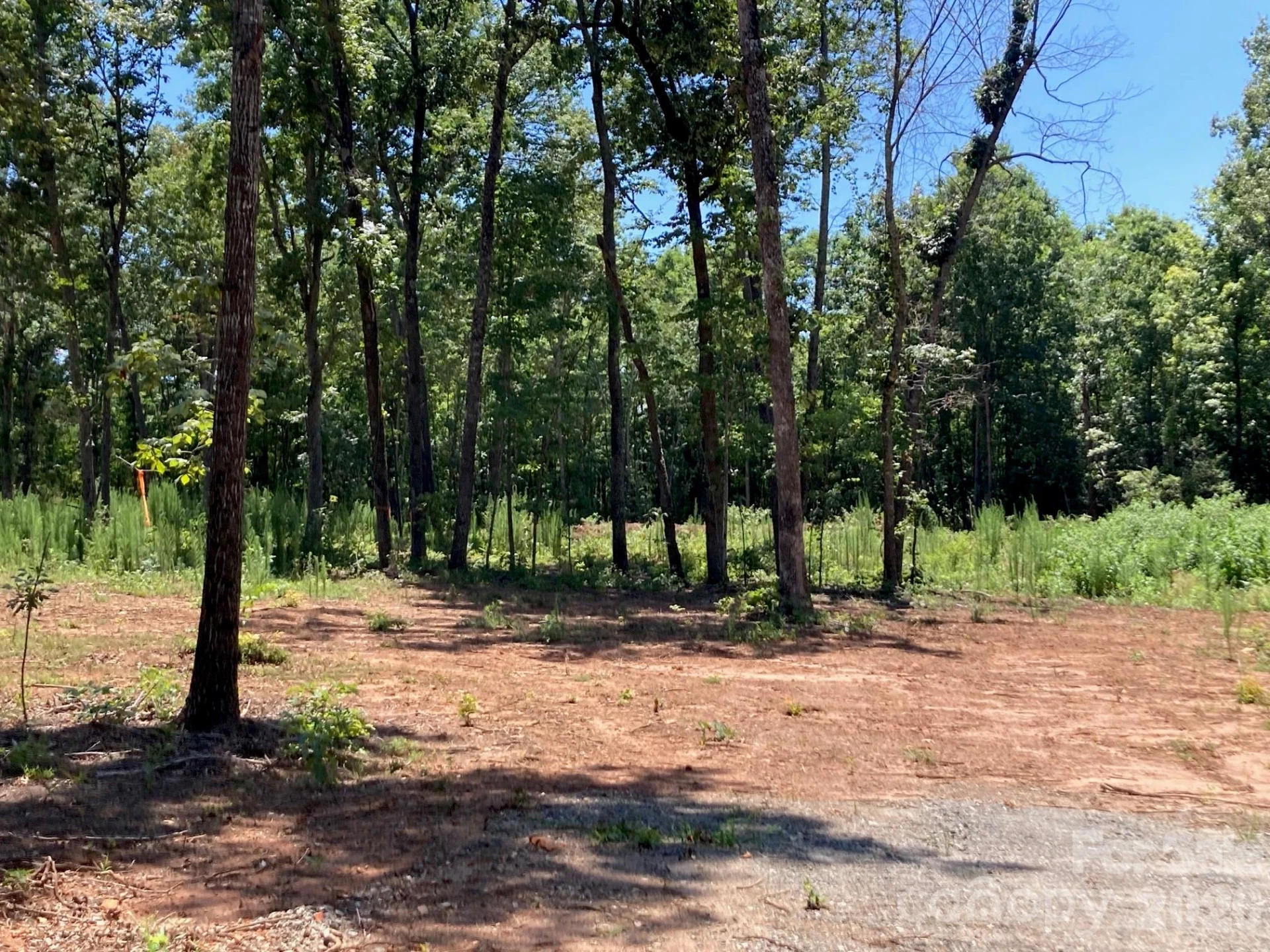 159 Evenfall Lane #1, 2 (~4 Acres) - Photo 37