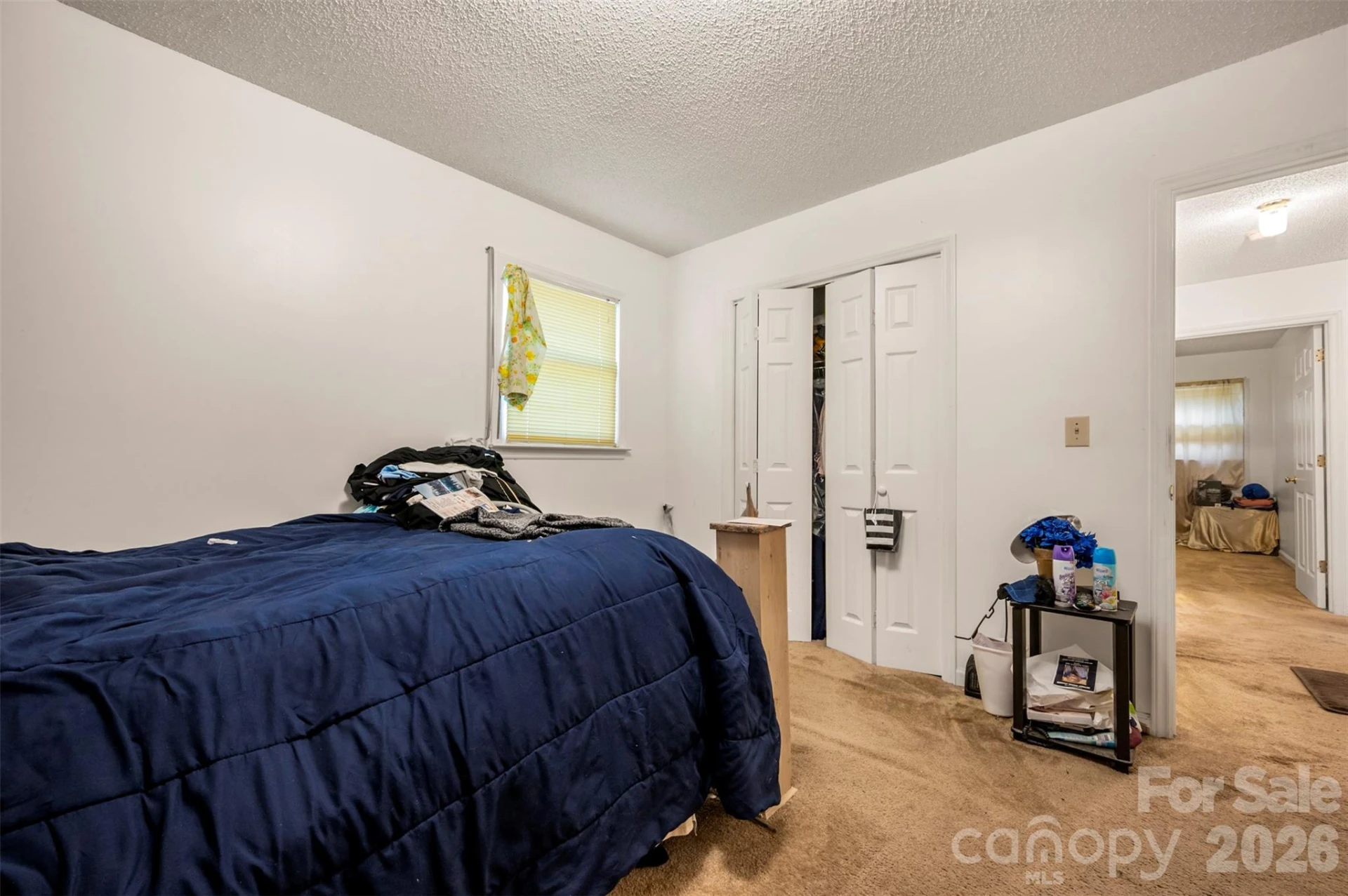 143 Big Springs Avenue - Photo 21