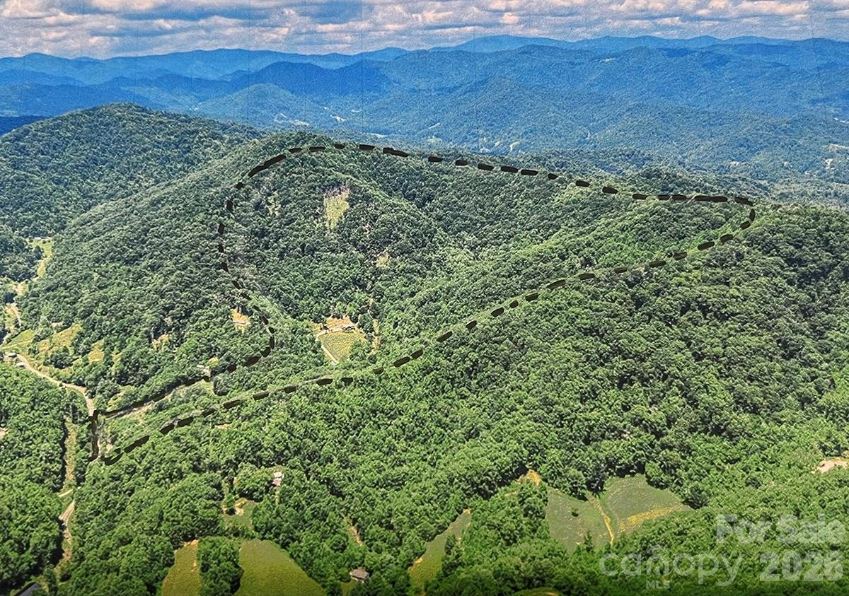 294 Red Knob Lane - Photo 3
