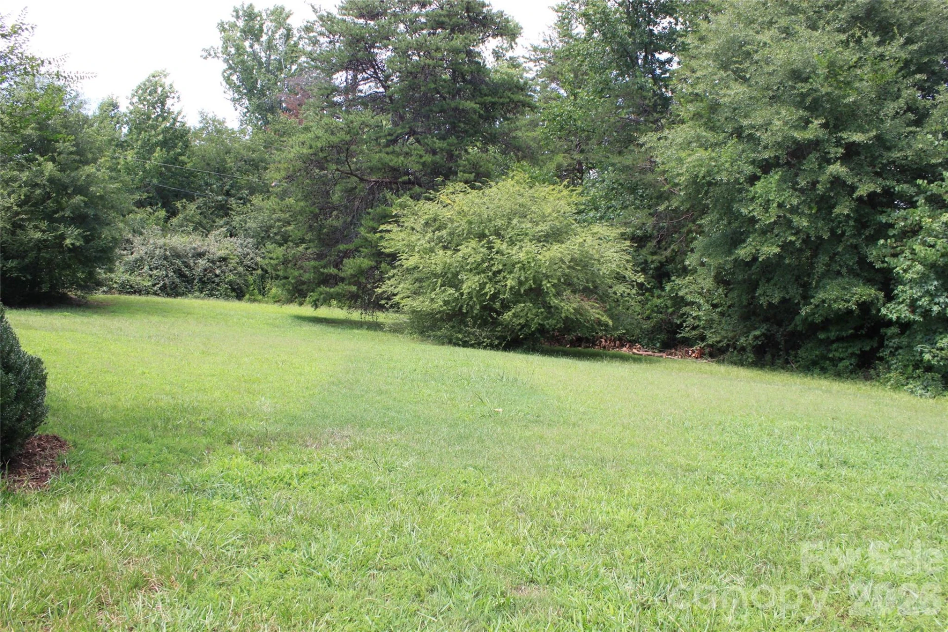 165 Springdale Drive - Photo 5