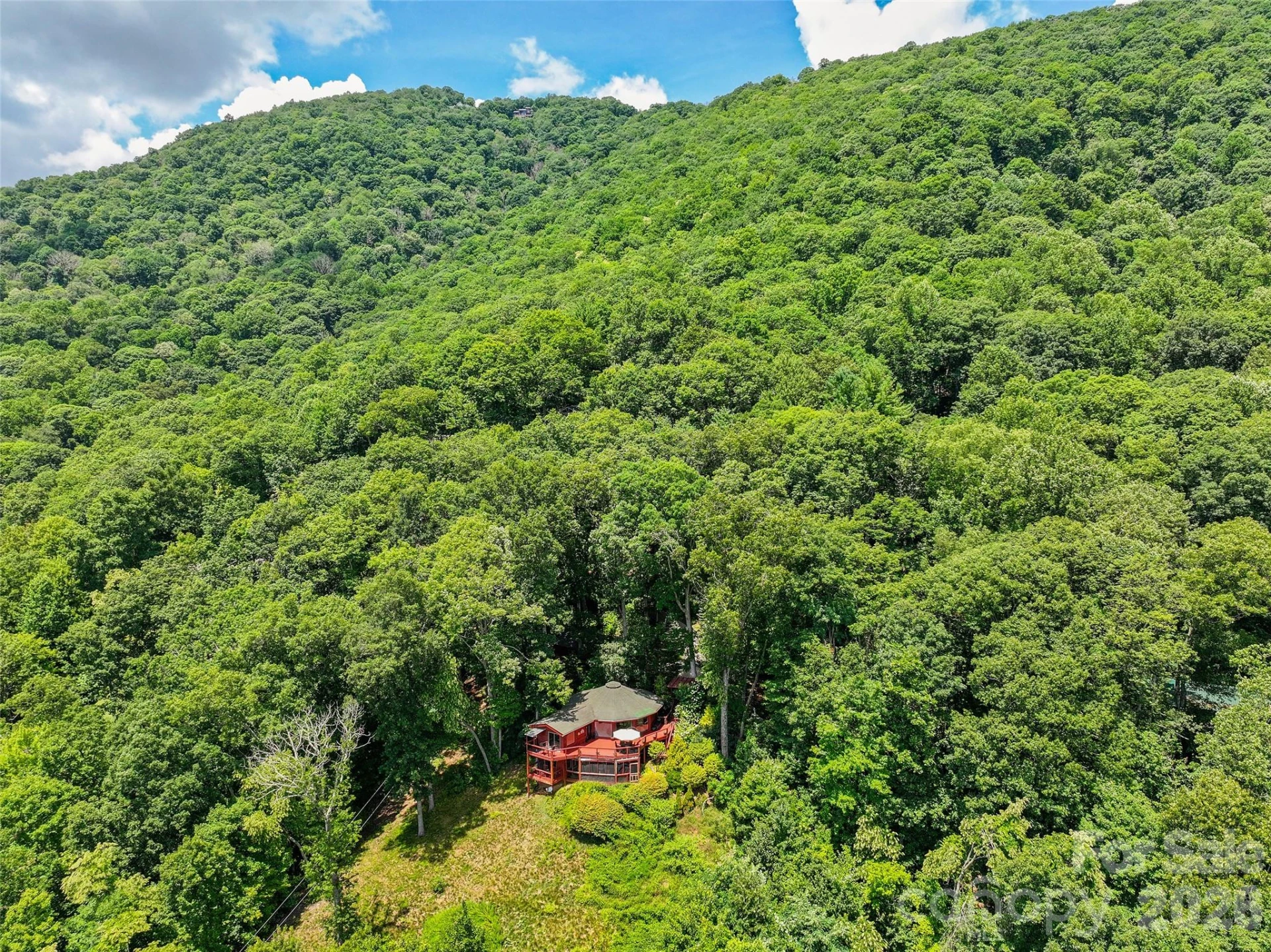 632 Dogwood Trail - Photo 41