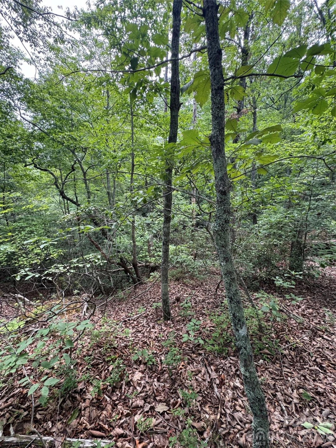 0 Raven Boulevard - Photo 2