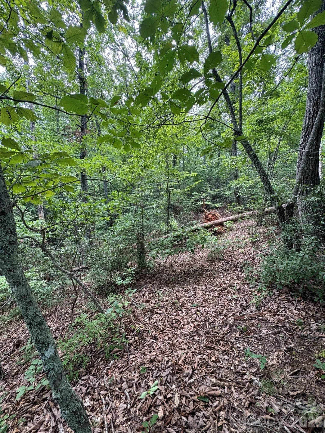 0 Raven Boulevard - Photo 4
