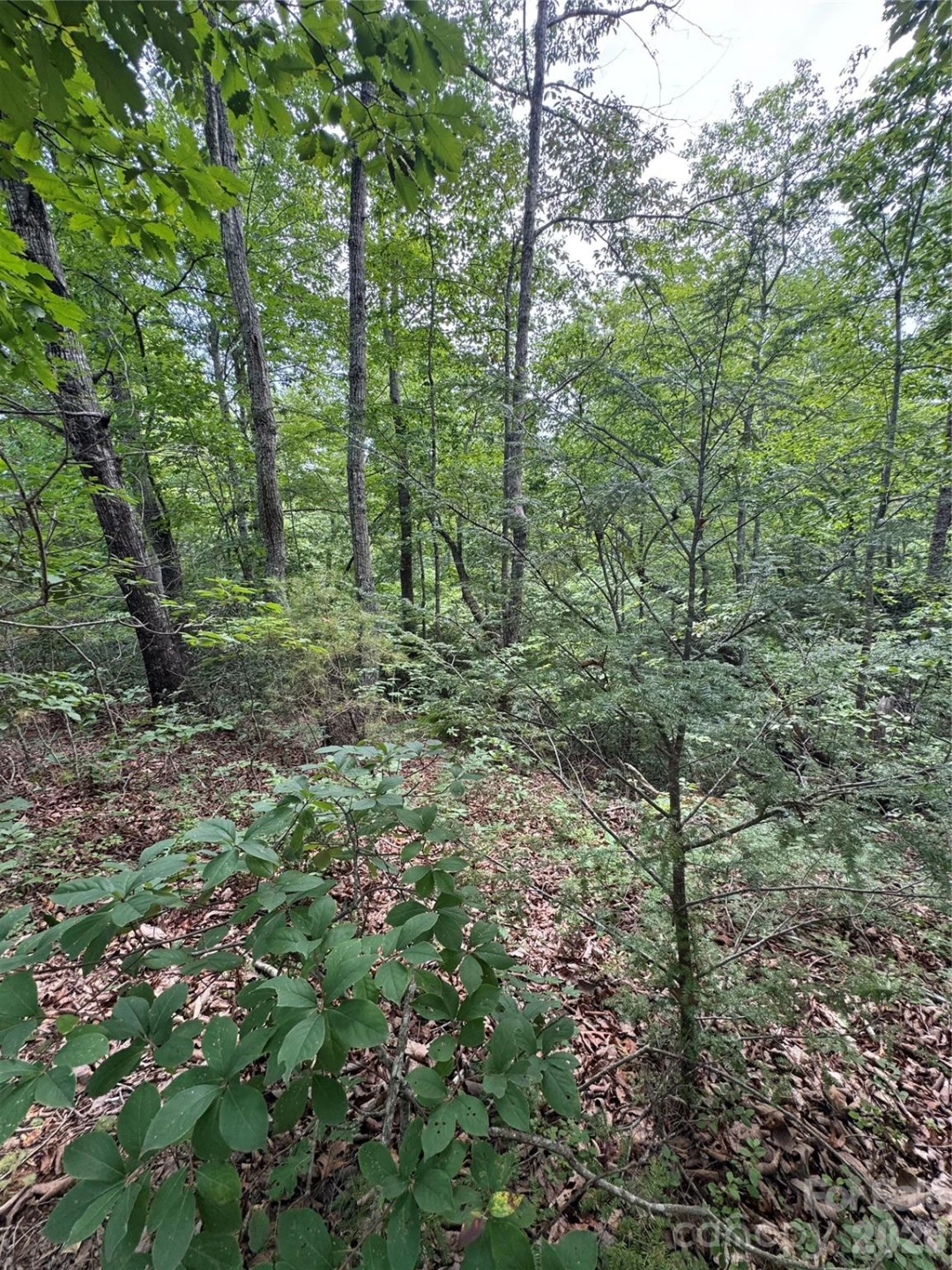 0 Raven Boulevard - Photo 5