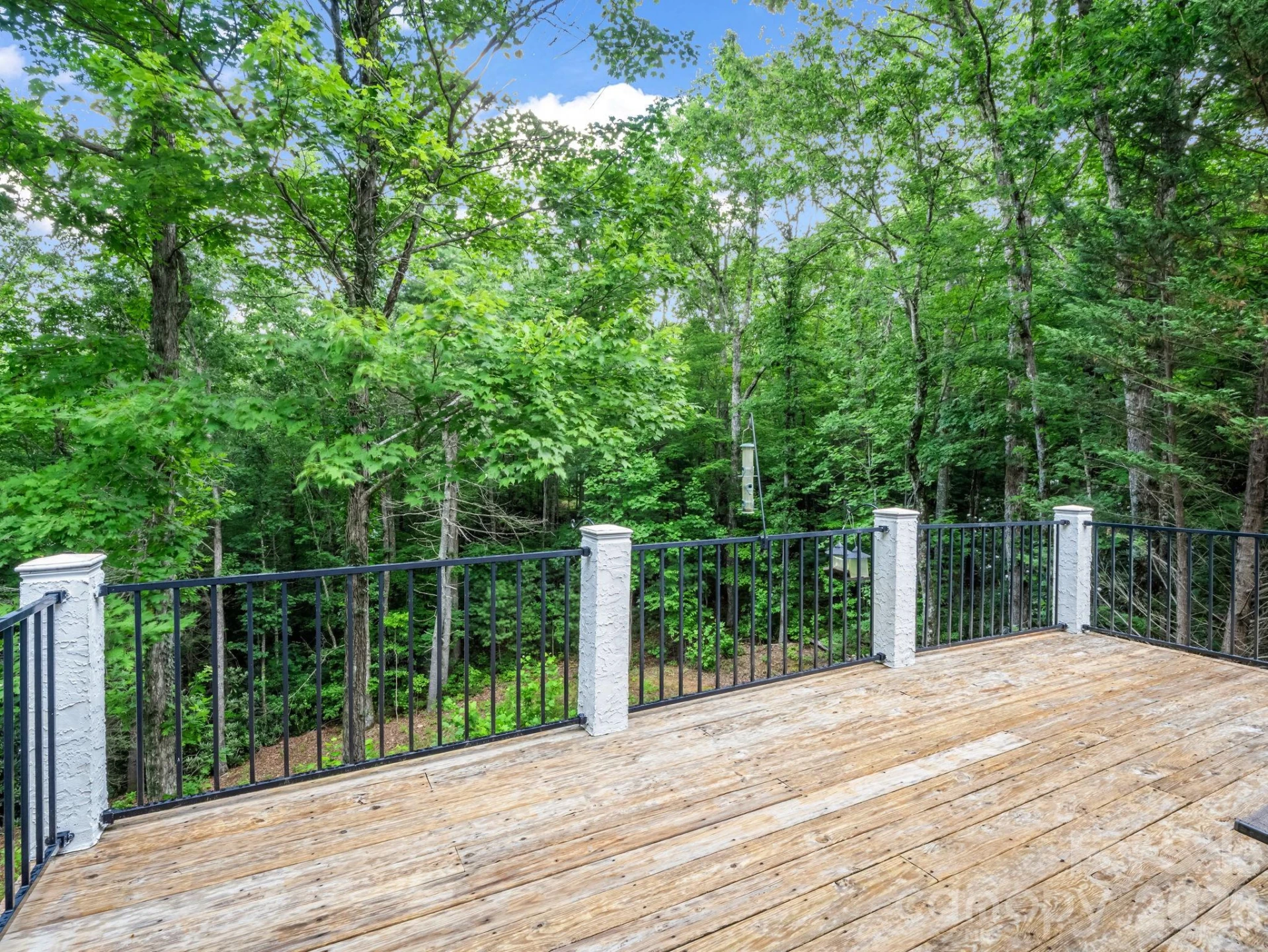 45 Brown Bear Ridge Trail - Photo 27